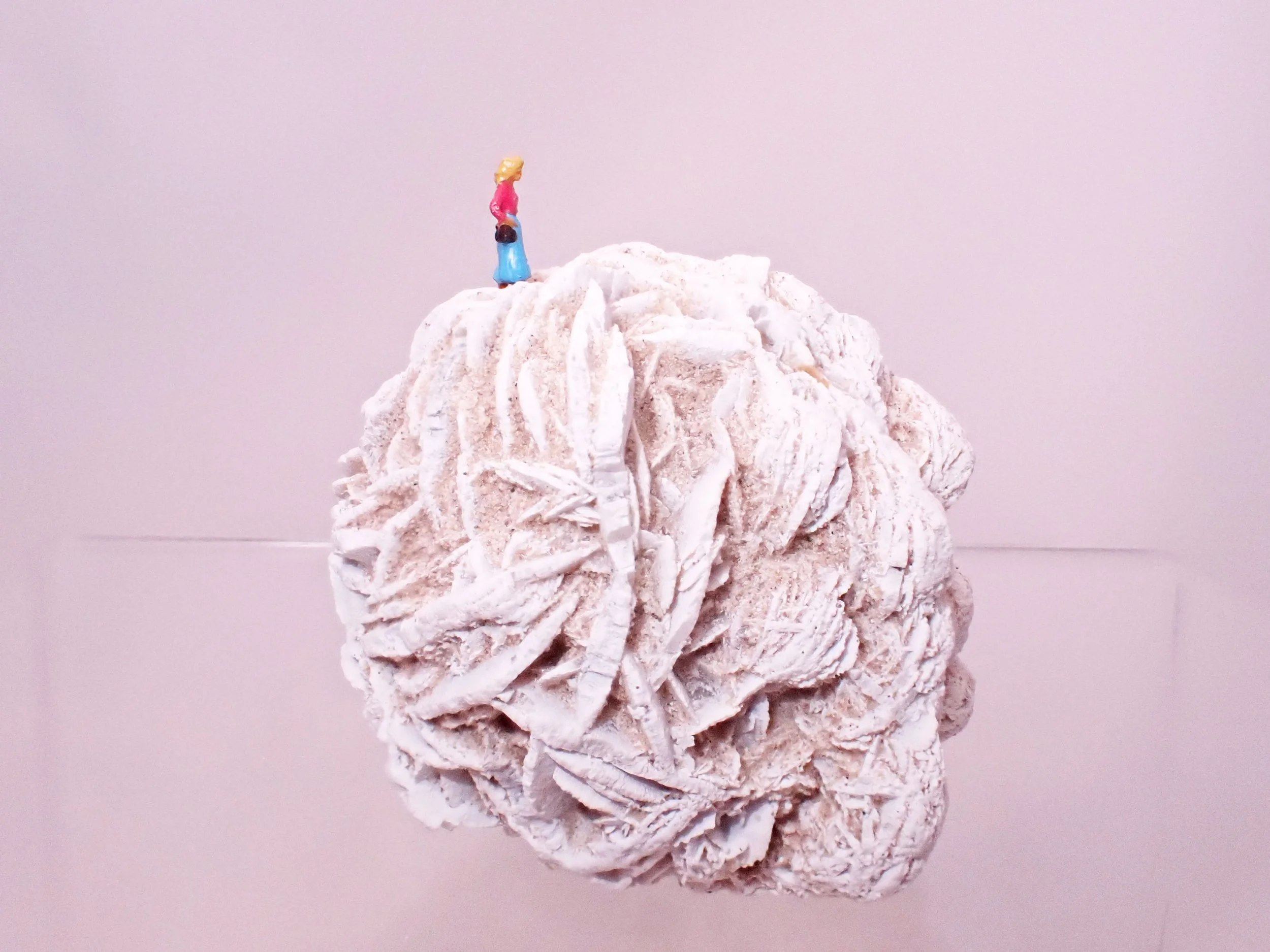 Desert-Rose-Diorama_2_Becky-Wareing-Steele_6_web.jpg