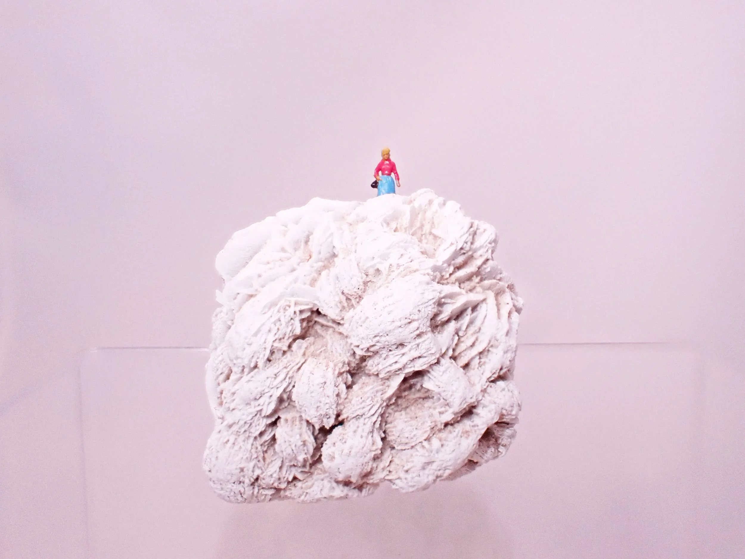 Desert-Rose-Diorama_2_Becky-Wareing-Steele_9_web.jpg