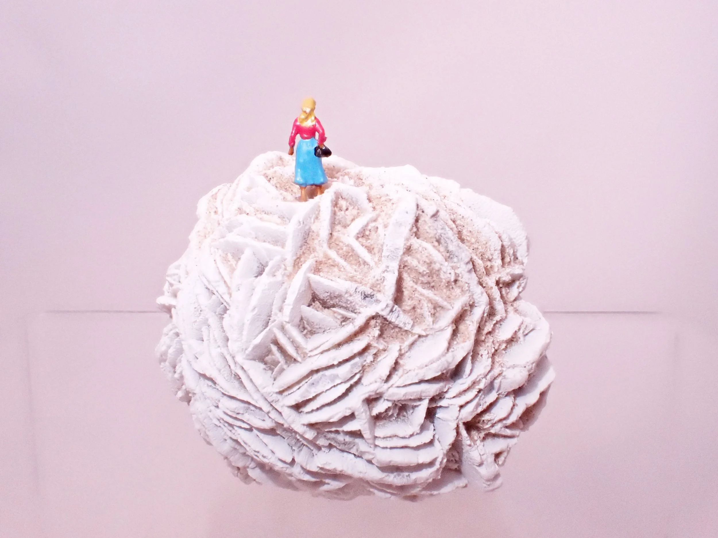 Desert-Rose-Diorama_2_Becky-Wareing-Steele_7_web.jpg
