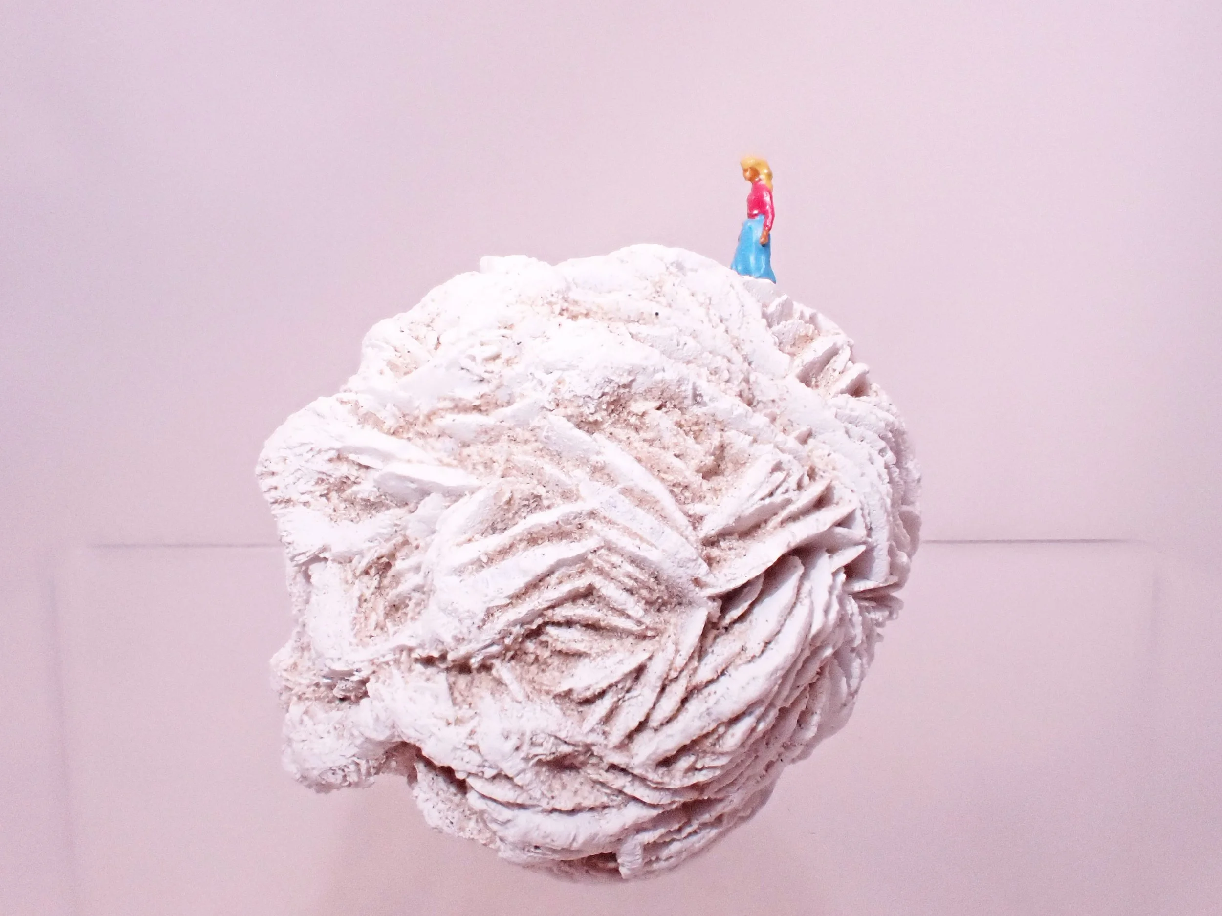 Desert-Rose-Diorama_2_Becky-Wareing-Steele_8_web.jpg