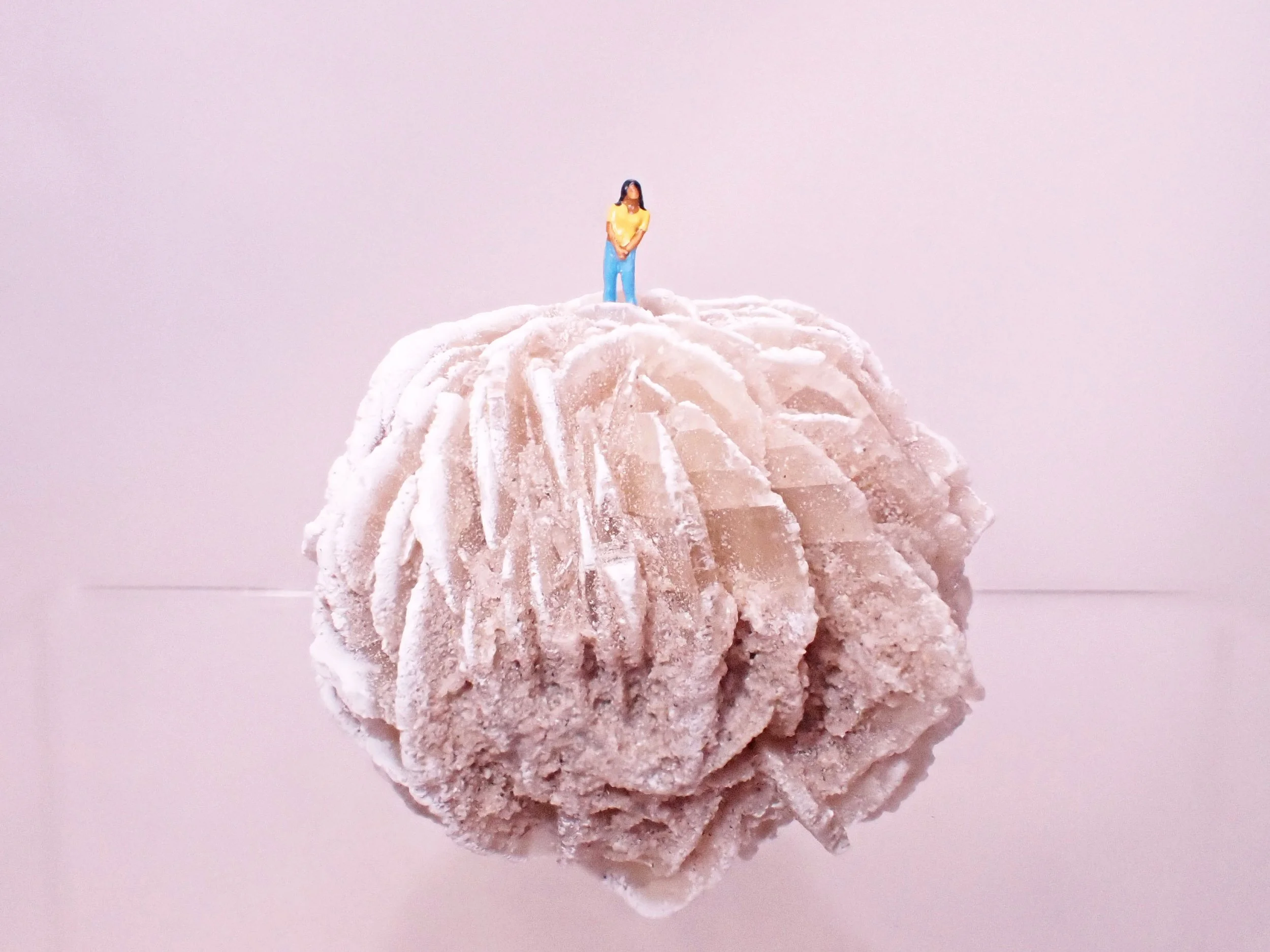 Desert-Rose-Diorama_3_Becky-Wareing-Steele_1_web.jpg