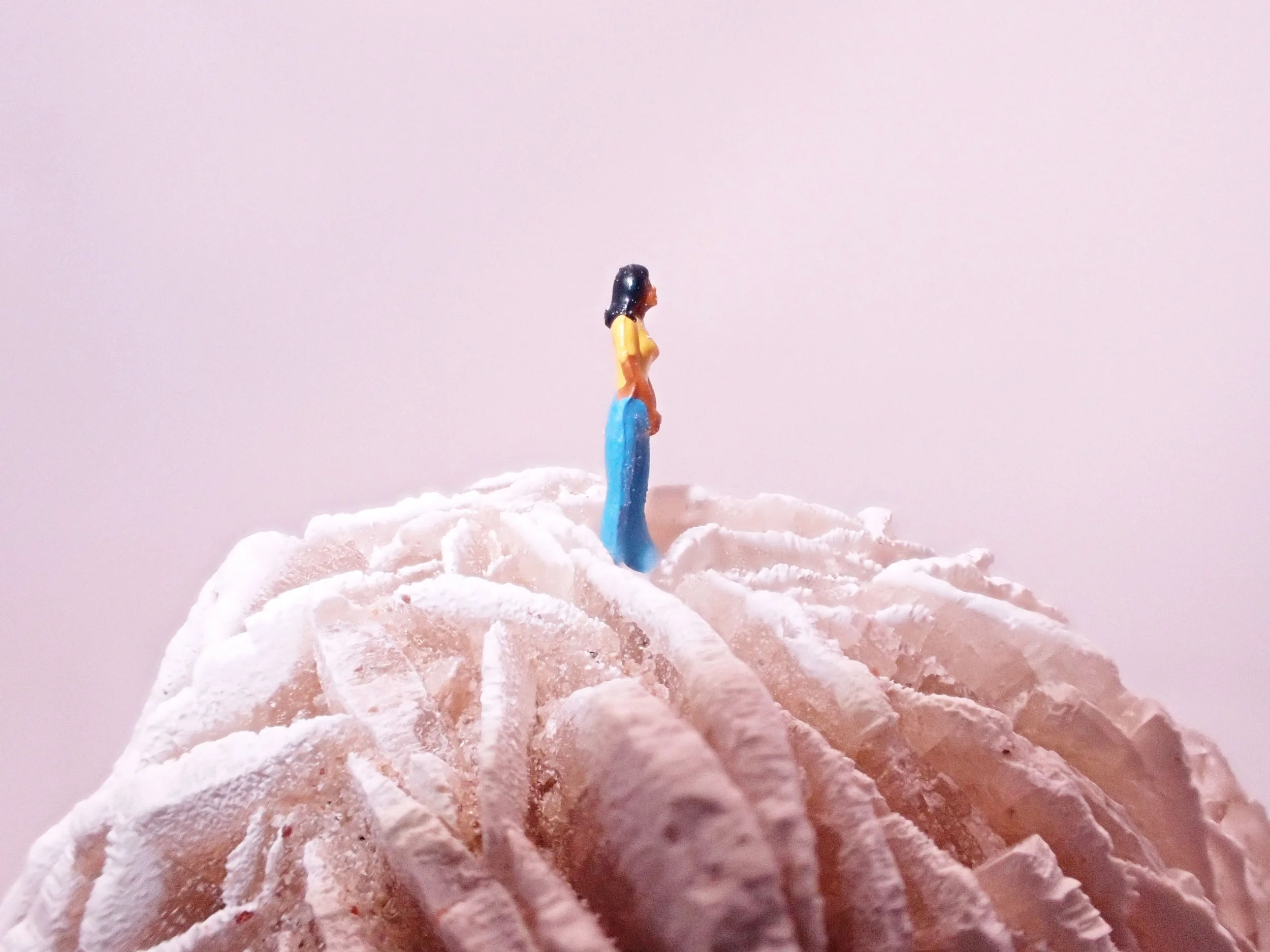 Desert-Rose-Diorama_3_Becky-Wareing-Steele_4_web.jpg