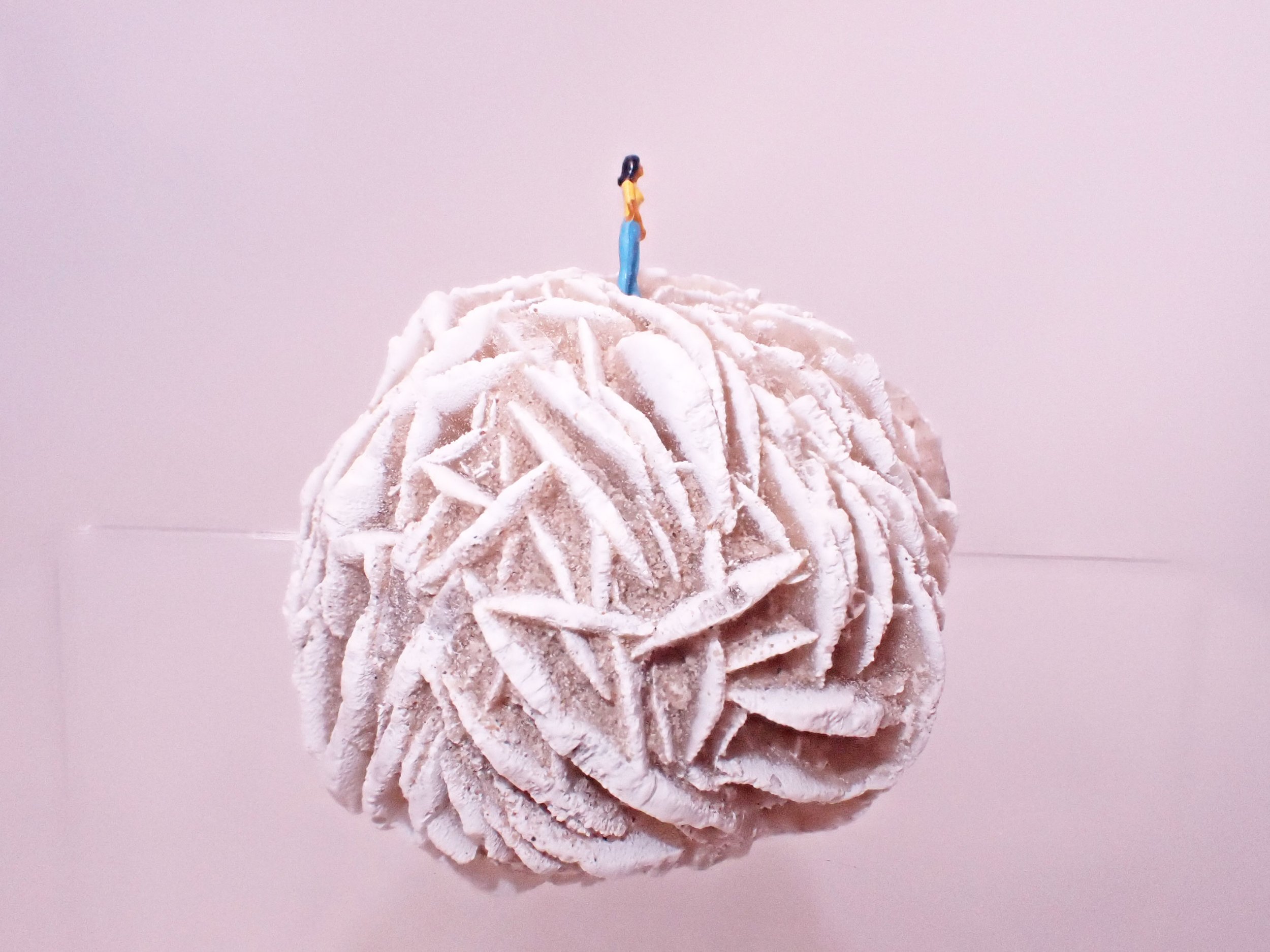 Desert-Rose-Diorama_3_Becky-Wareing-Steele_7_web.jpg