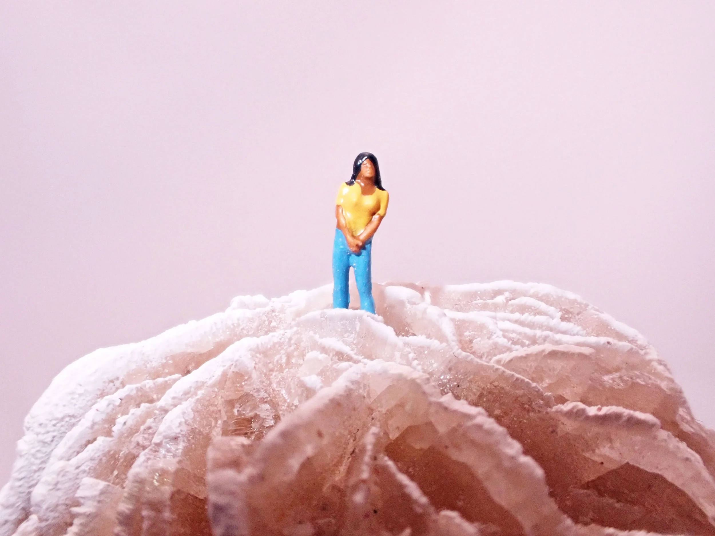Desert-Rose-Diorama_3_Becky-Wareing-Steele_5_web.jpg