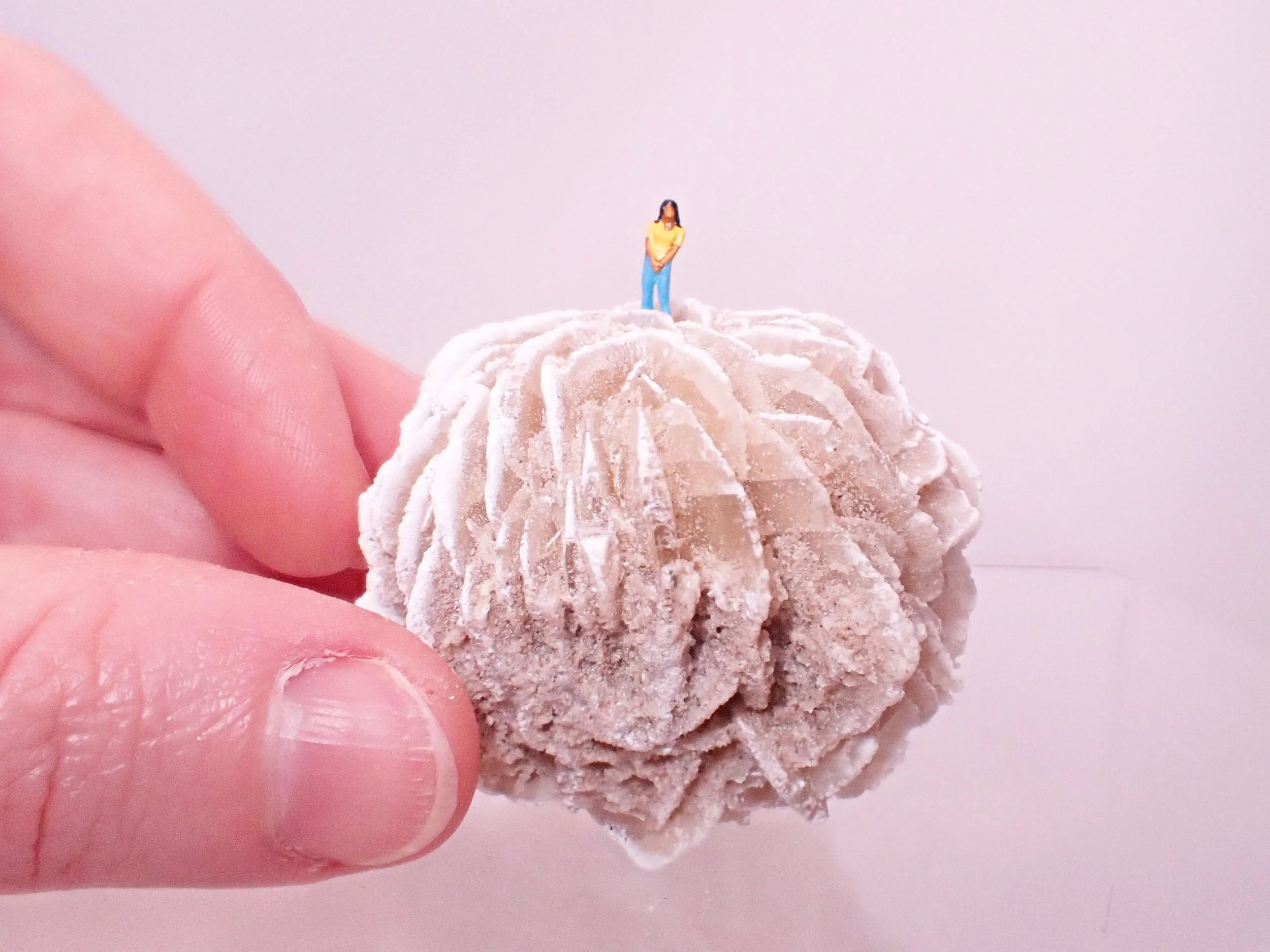 Desert-Rose-Diorama_3_Becky-Wareing-Steele_6_web.jpg