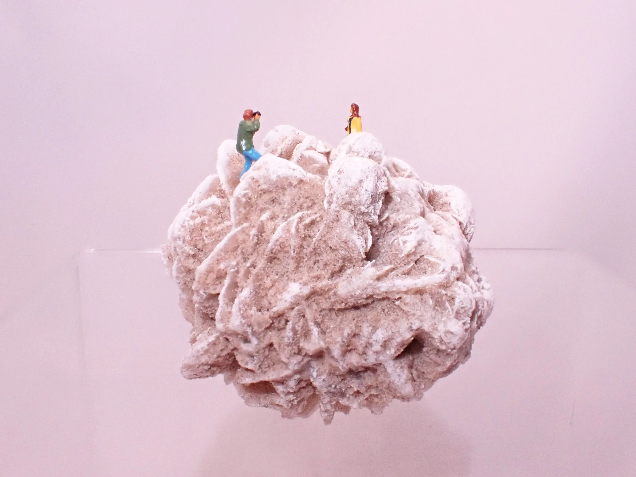 Desert-Rose-Diorama_5_Becky-Wareing-Steele_7_web.jpg