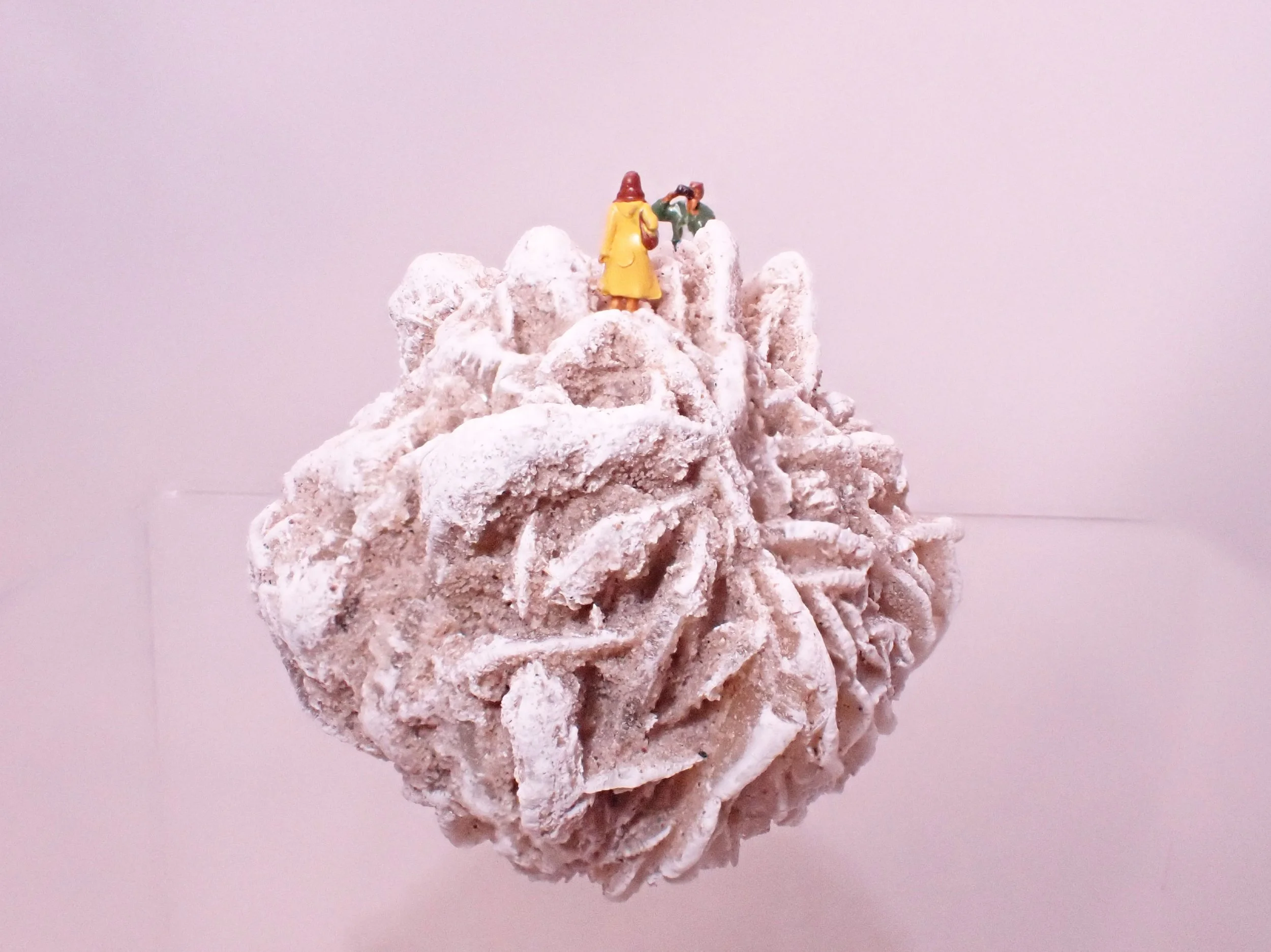 Desert-Rose-Diorama_5_Becky-Wareing-Steele_6_web.jpg