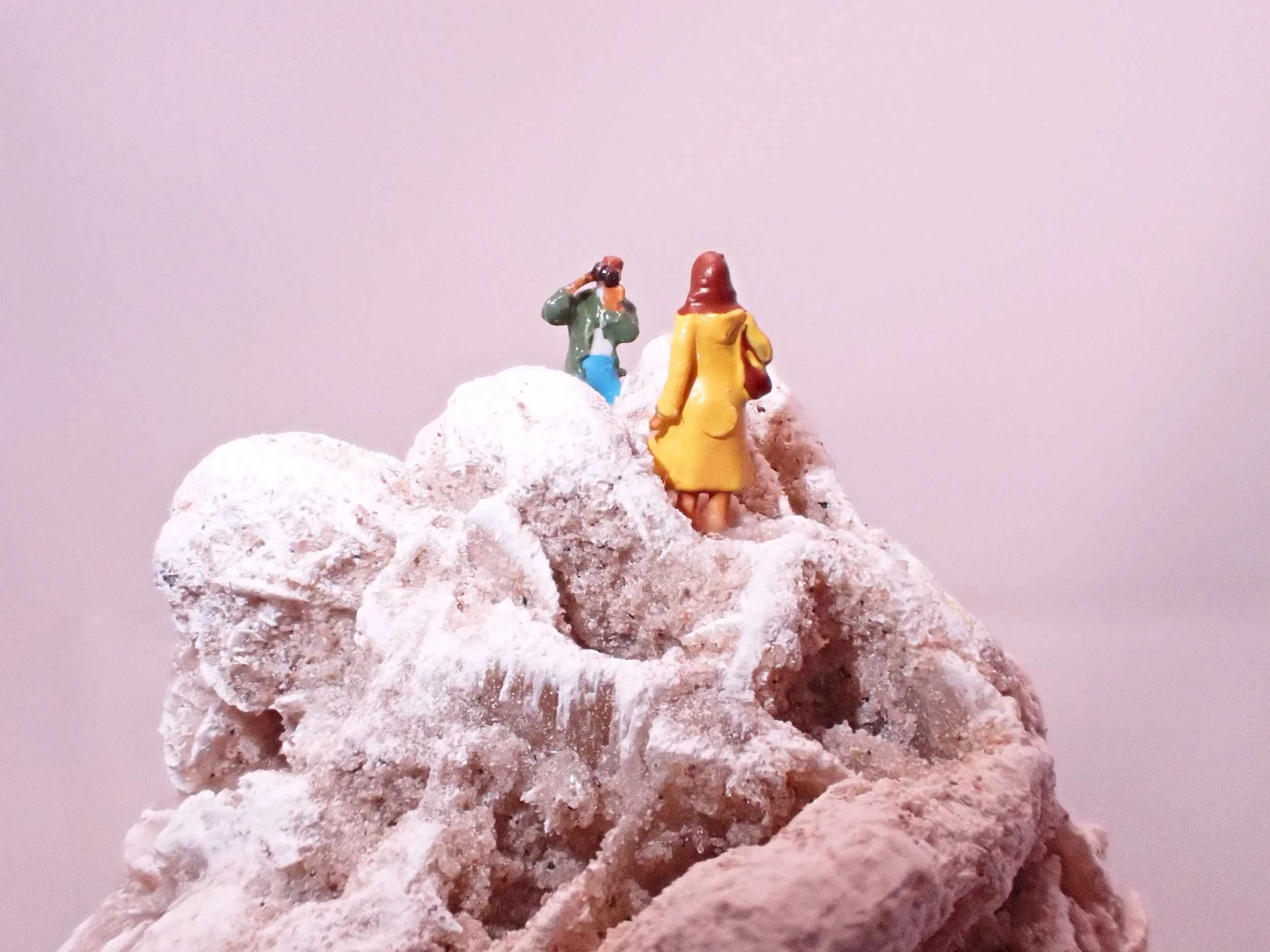 Desert-Rose-Diorama_5_Becky-Wareing-Steele_1_web.jpg