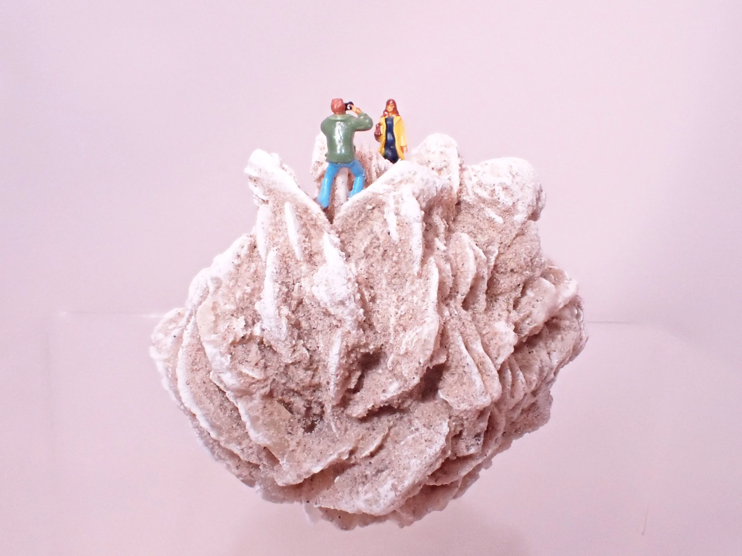 Desert-Rose-Diorama_5_Becky-Wareing-Steele_8_web.jpg