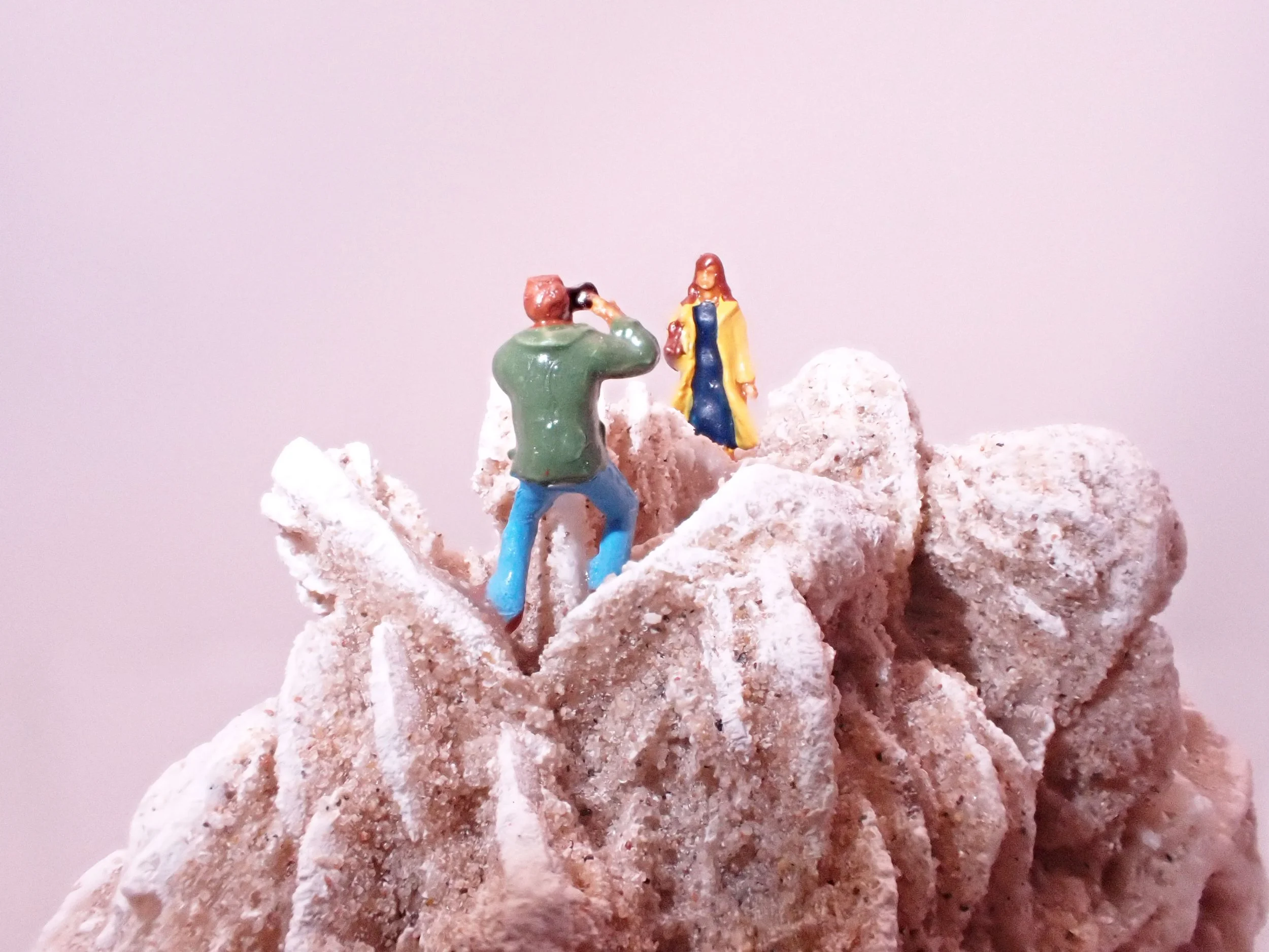 Desert-Rose-Diorama_5_Becky-Wareing-Steele_2_web.jpg