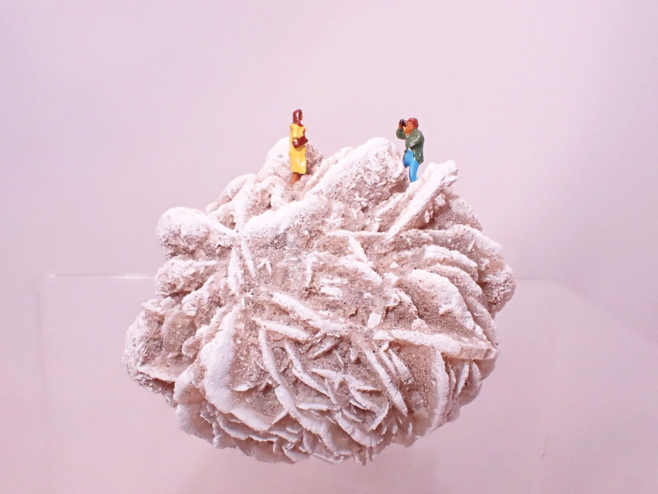 Desert-Rose-Diorama_5_Becky-Wareing-Steele_4_web.jpg