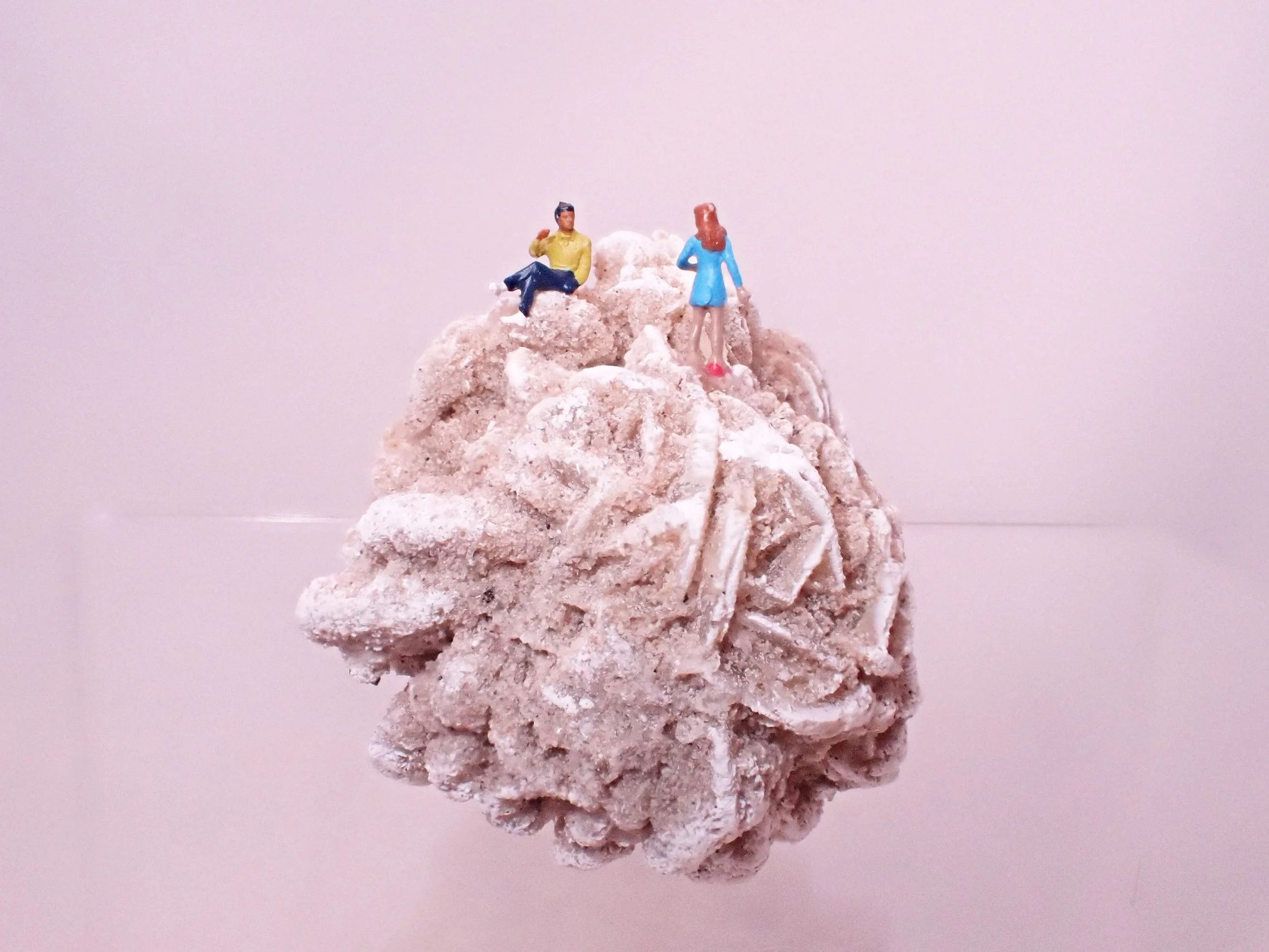Desert-Rose-Diorama_6_Becky-Wareing-Steele_1_web.jpg