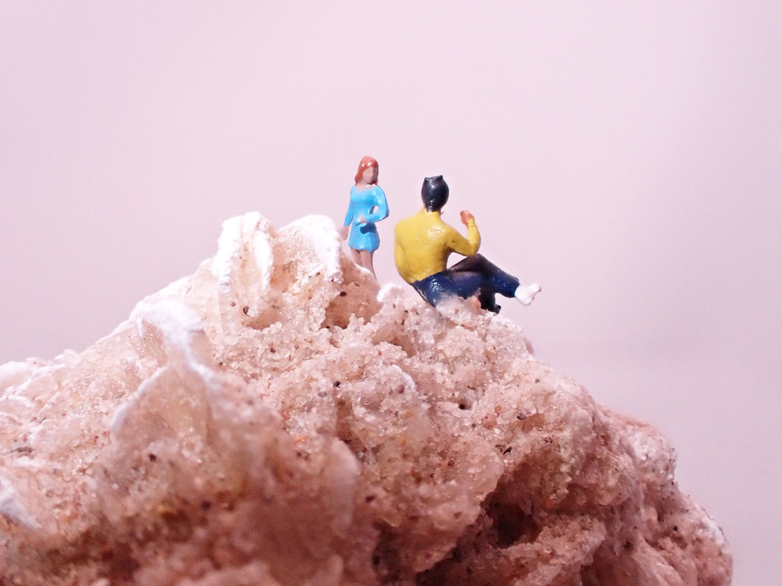 Desert-Rose-Diorama_6_Becky-Wareing-Steele_2_web.jpg