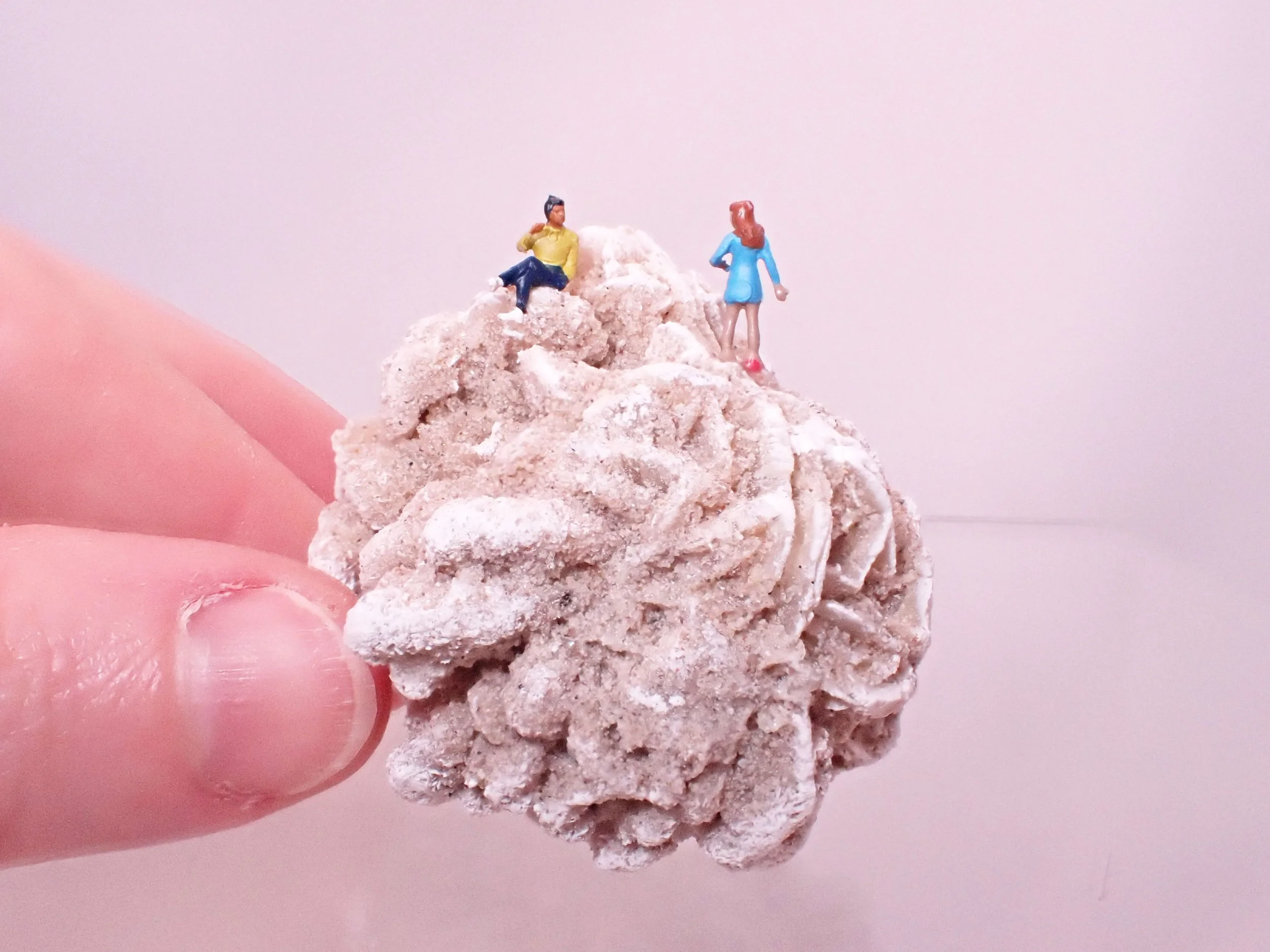 Desert-Rose-Diorama_6_Becky-Wareing-Steele_4_web.jpg