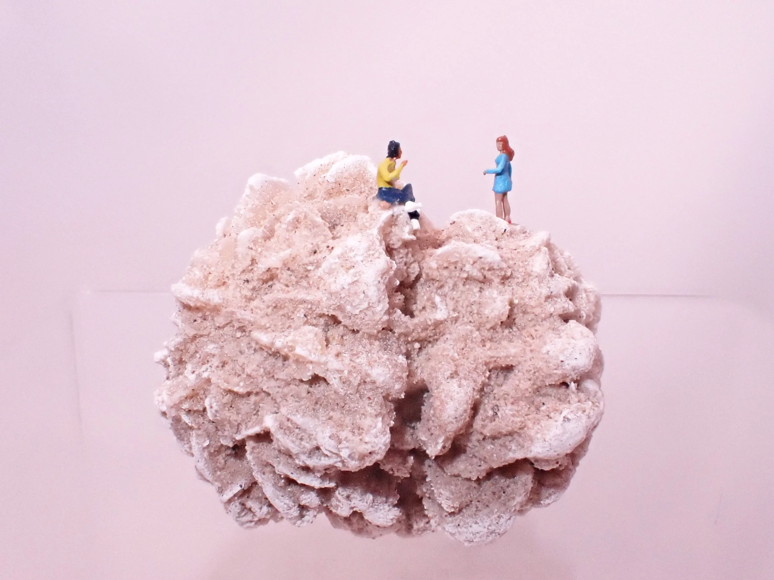 Desert-Rose-Diorama_6_Becky-Wareing-Steele_5_web.jpg
