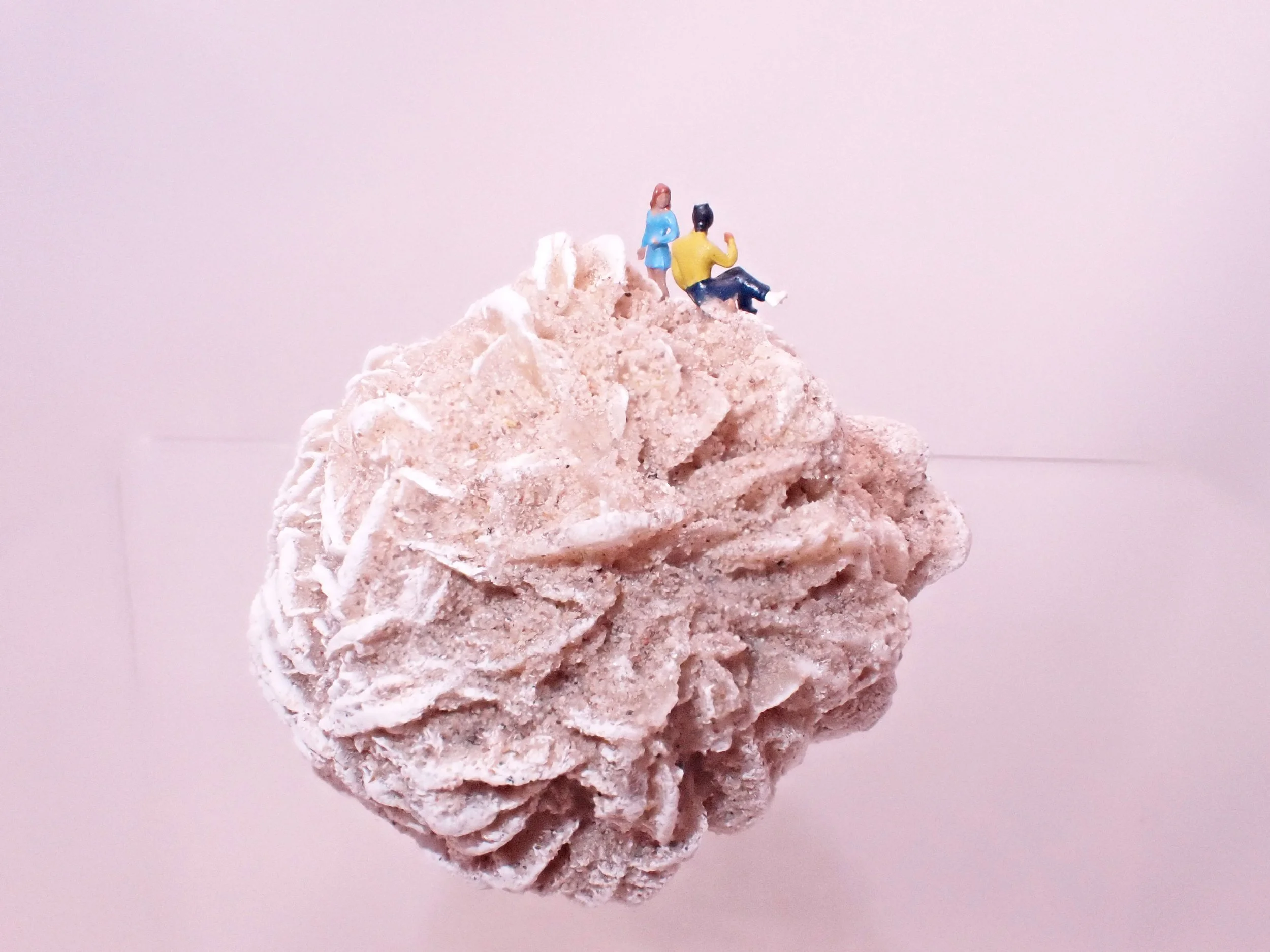 Desert-Rose-Diorama_6_Becky-Wareing-Steele_6_web.jpg