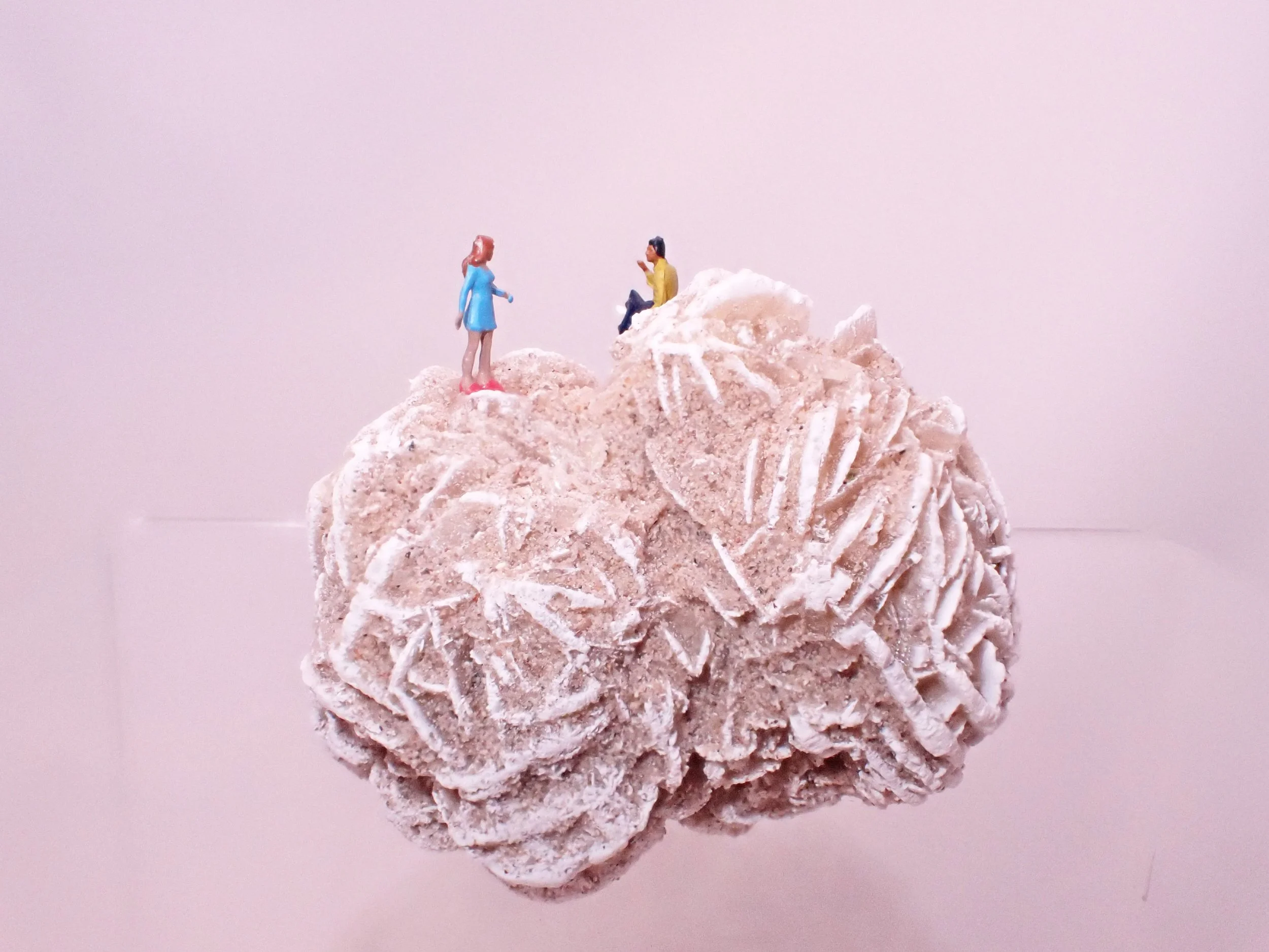 Desert-Rose-Diorama_6_Becky-Wareing-Steele_7_web.jpg