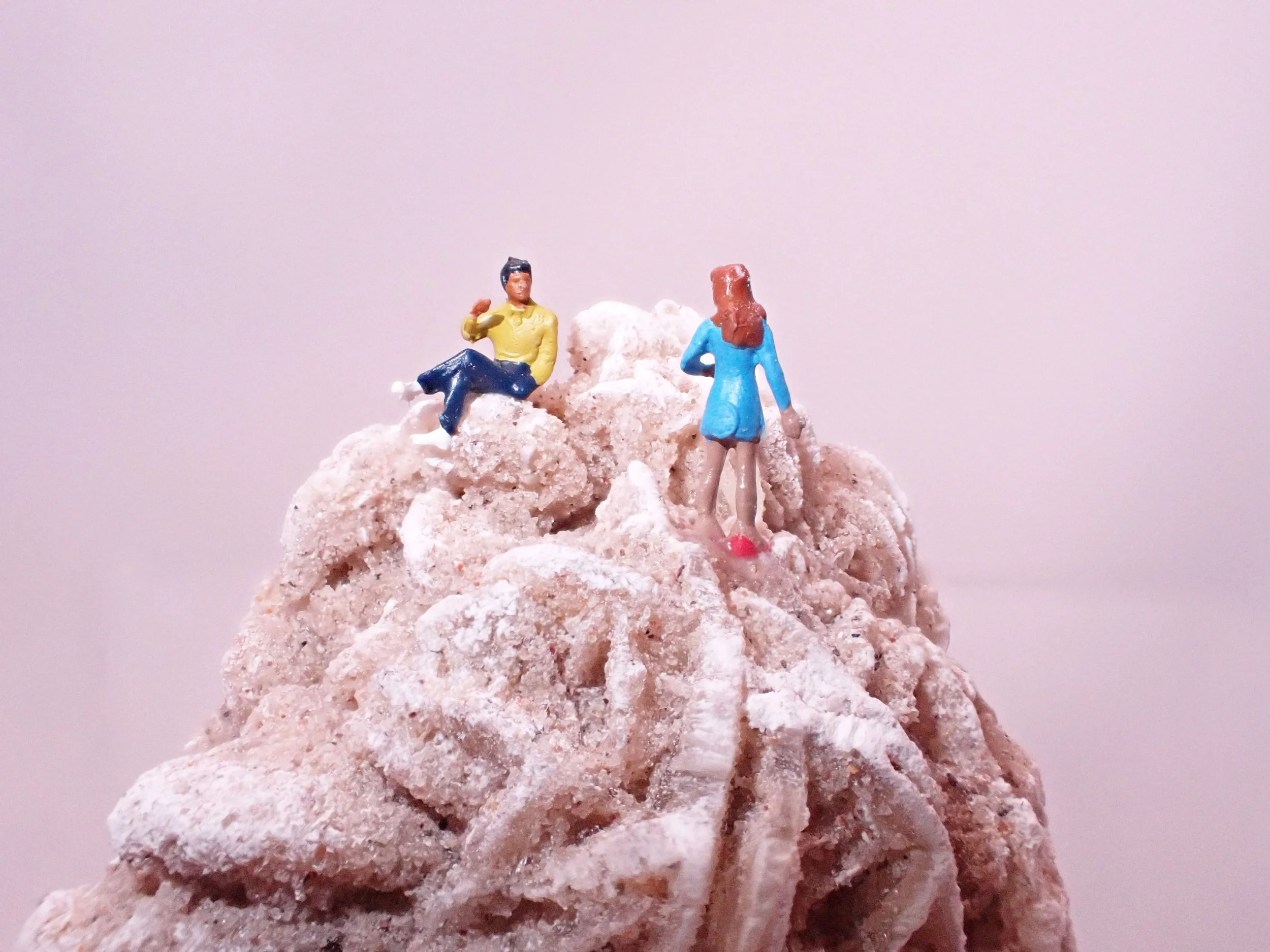 Desert-Rose-Diorama_6_Becky-Wareing-Steele_3_web.jpg