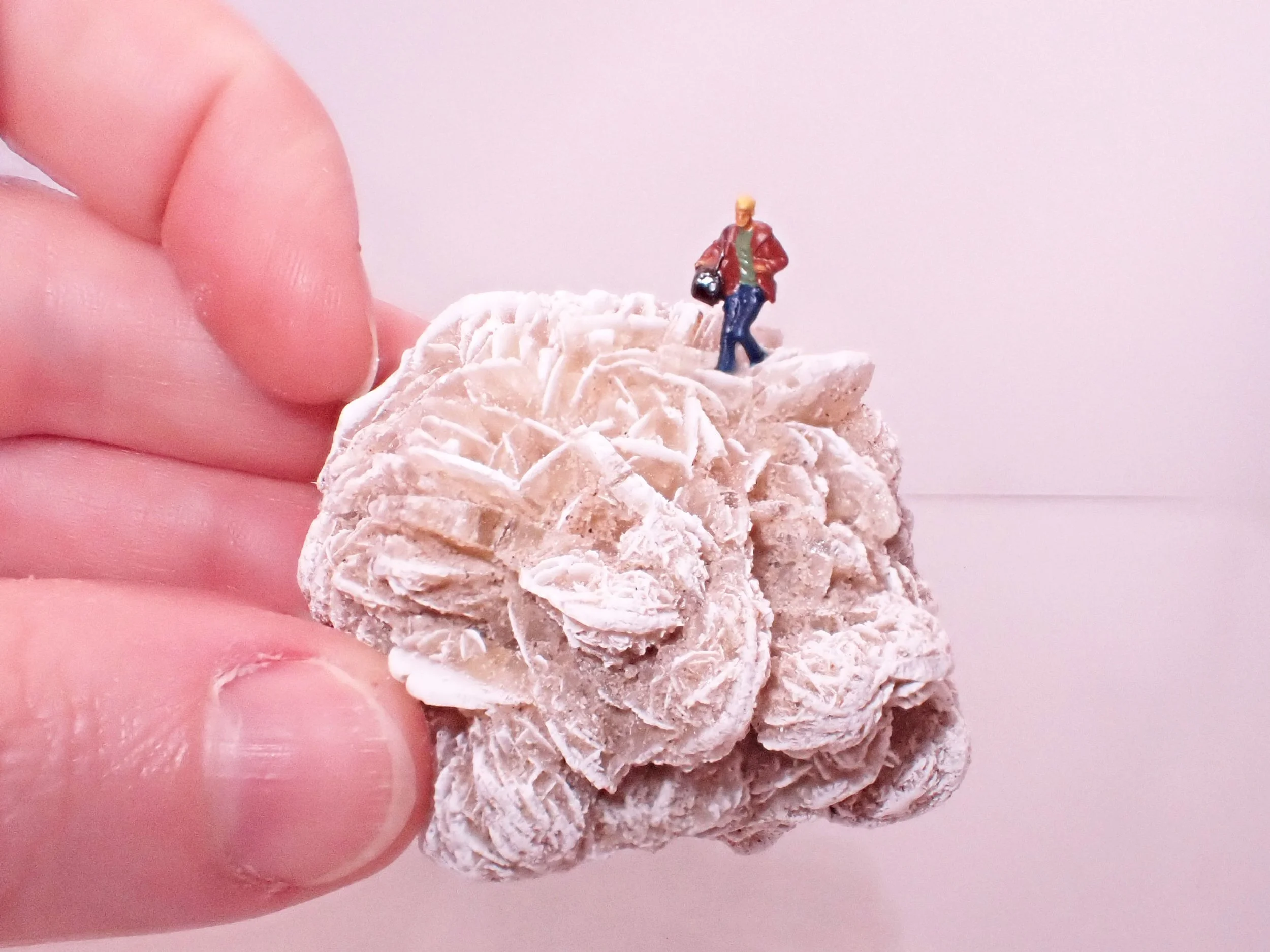 Desert-Rose-Diorama_7_Becky-Wareing-Steele_3_web.jpg