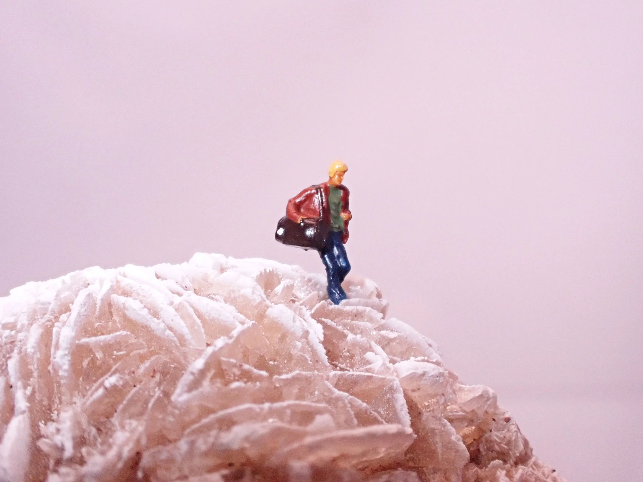 Desert-Rose-Diorama_7_Becky-Wareing-Steele_1_web.jpg