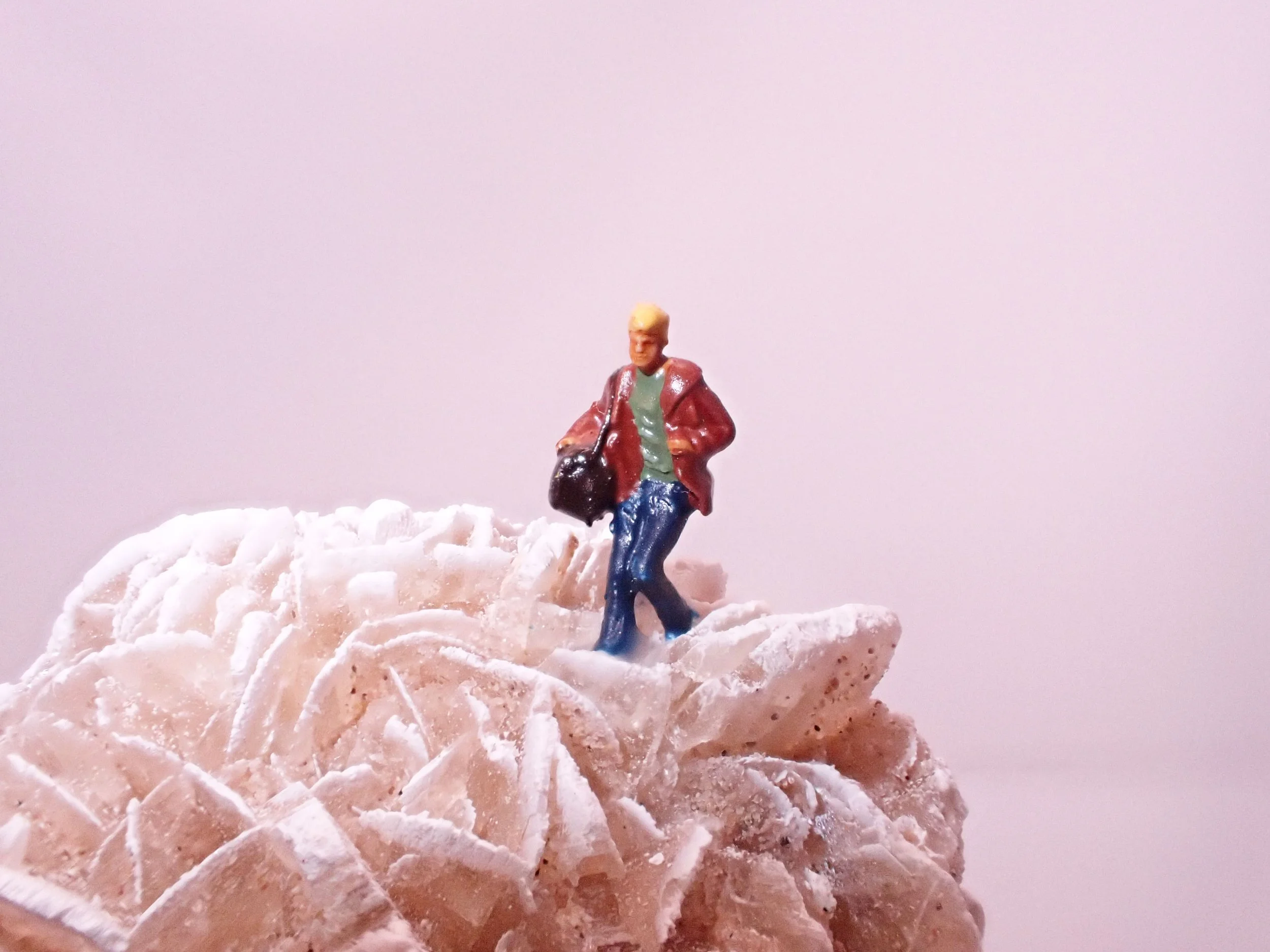 Desert-Rose-Diorama_7_Becky-Wareing-Steele_2_web.jpg