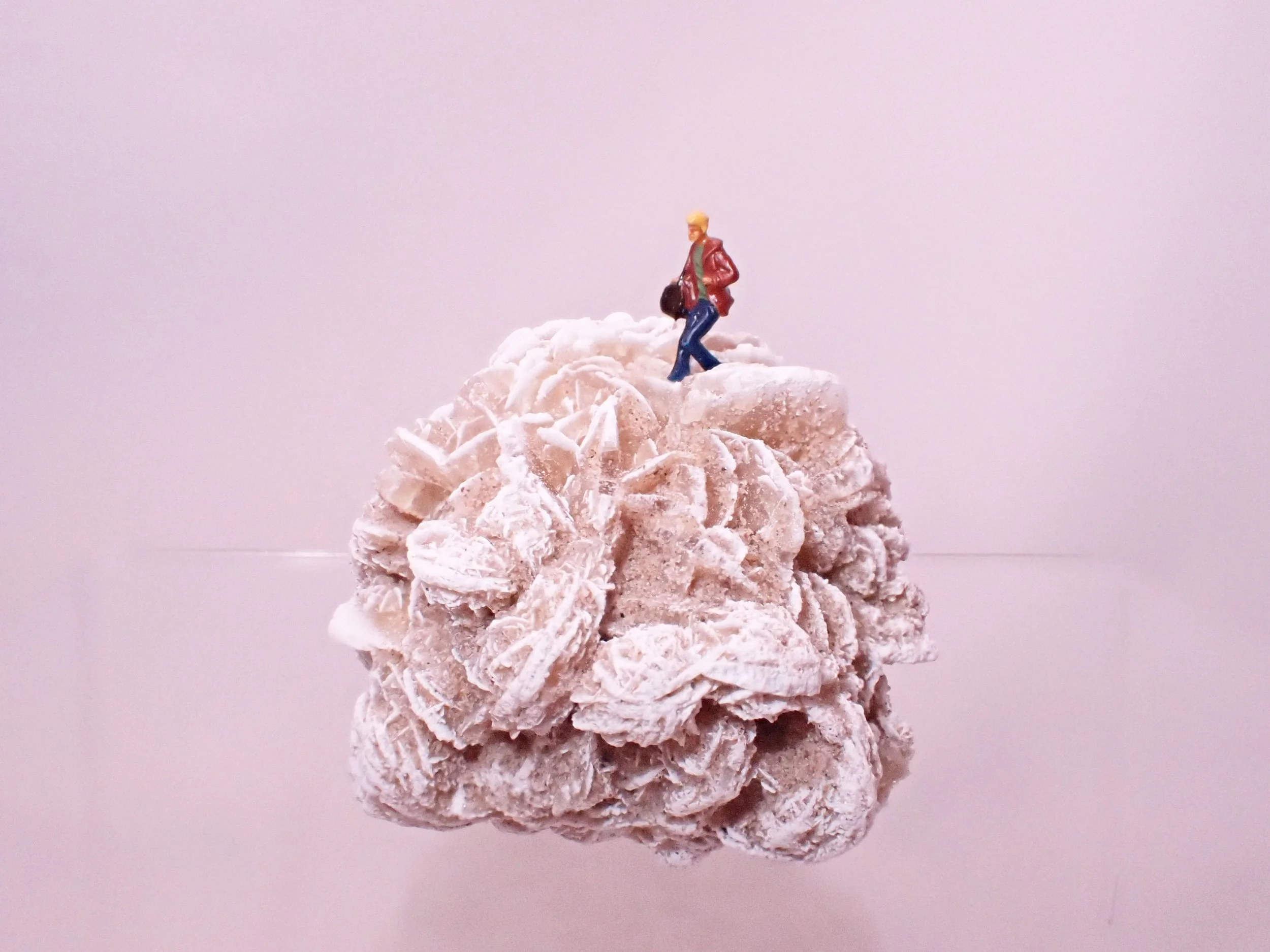 Desert-Rose-Diorama_7_Becky-Wareing-Steele_6_web.jpg