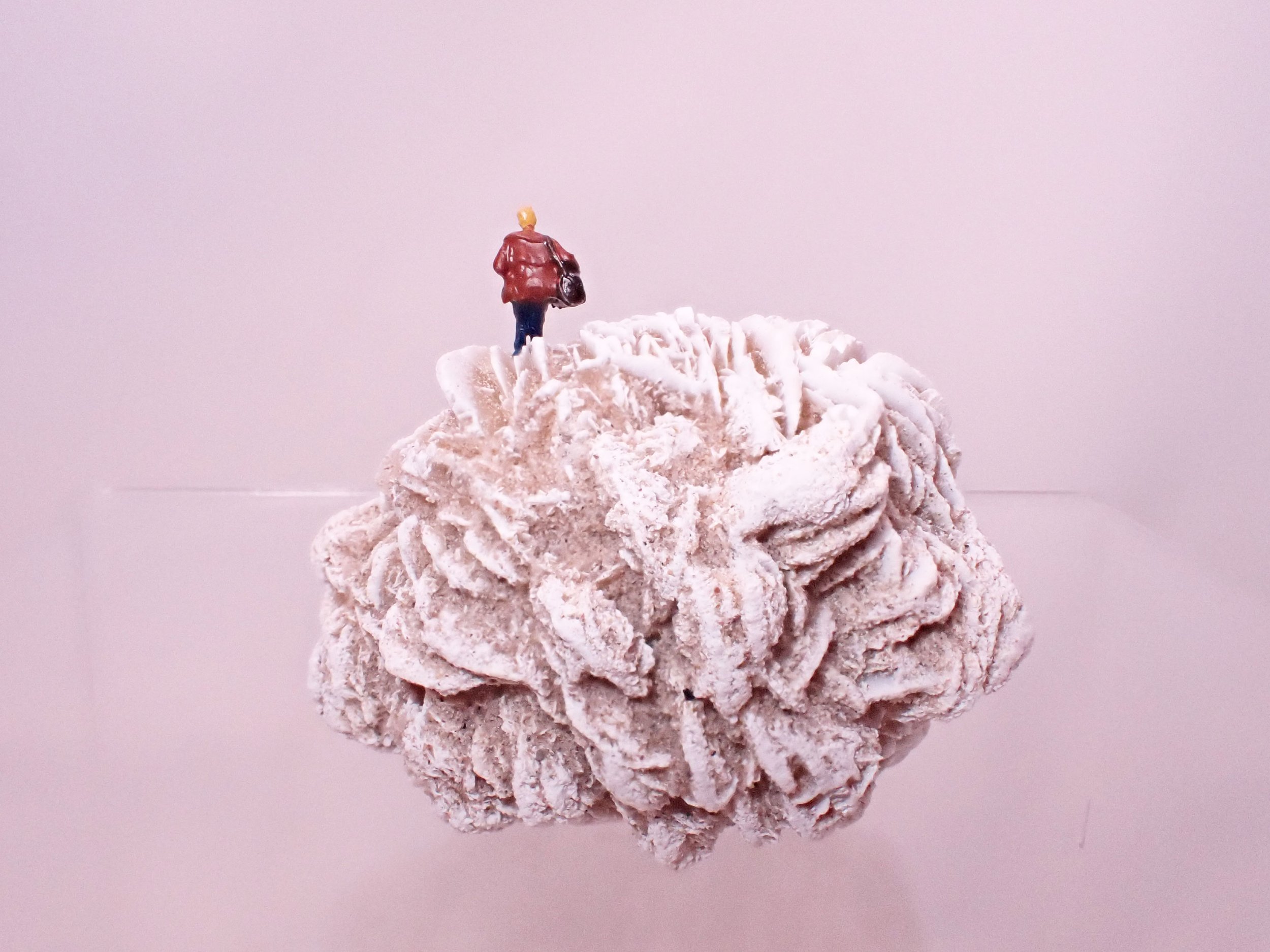 Desert-Rose-Diorama_7_Becky-Wareing-Steele_5_web.jpg