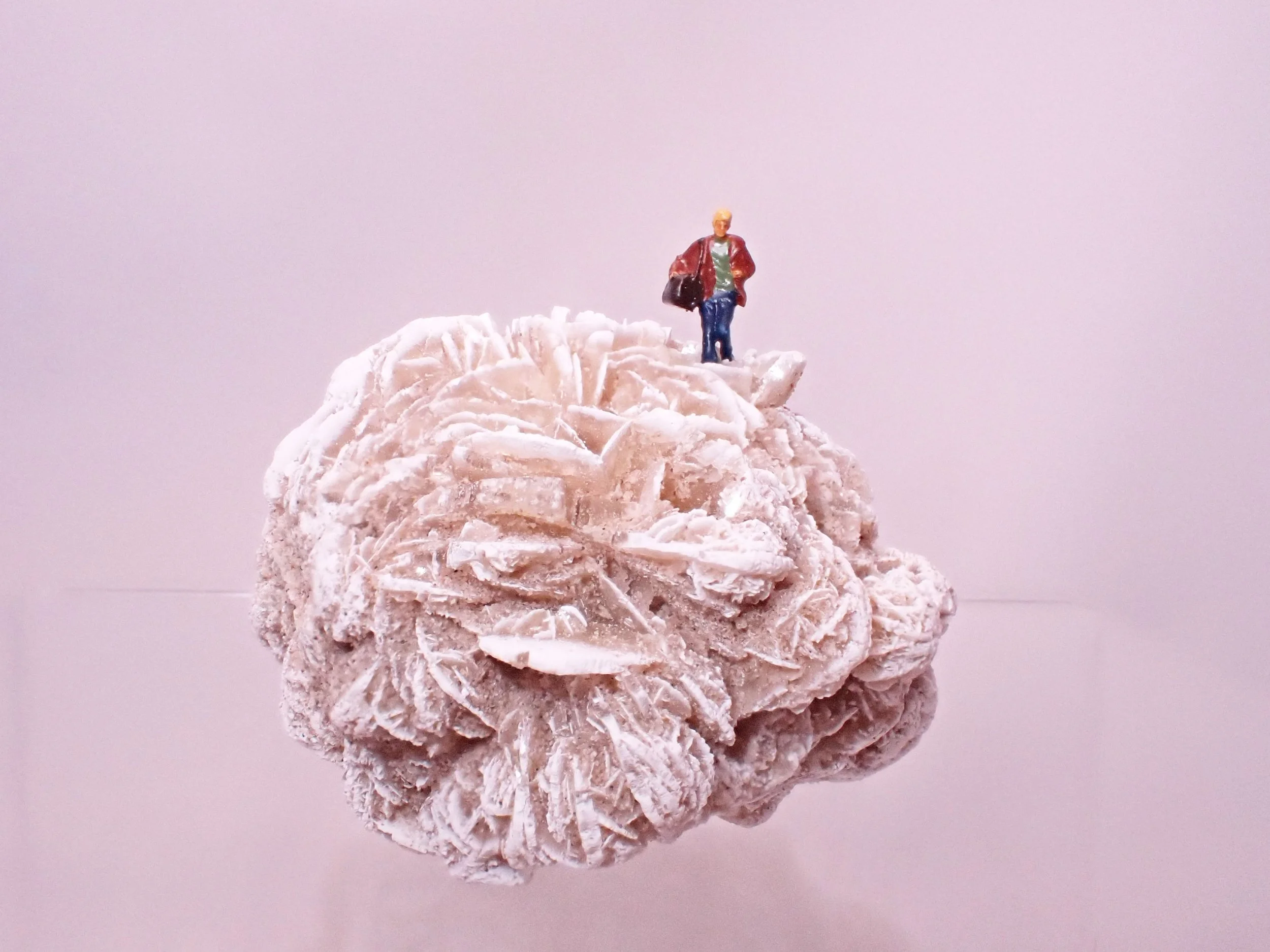 Desert-Rose-Diorama_7_Becky-Wareing-Steele_7_web.jpg