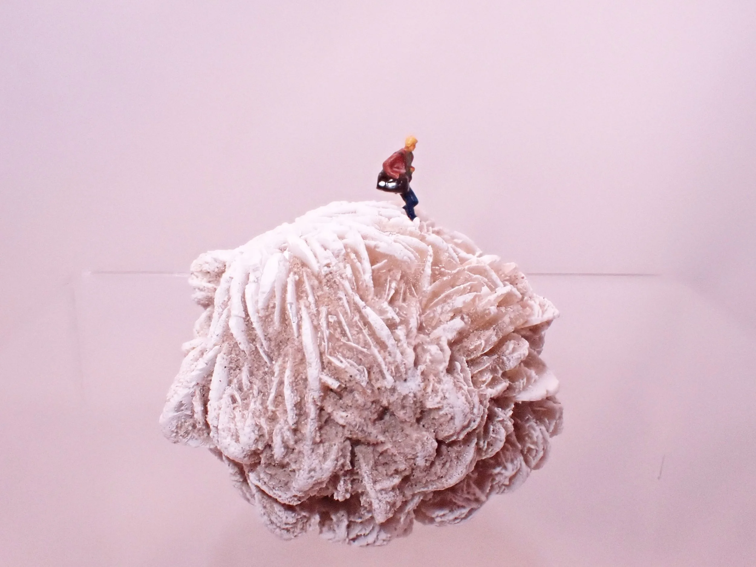 Desert-Rose-Diorama_7_Becky-Wareing-Steele_4_web.jpg