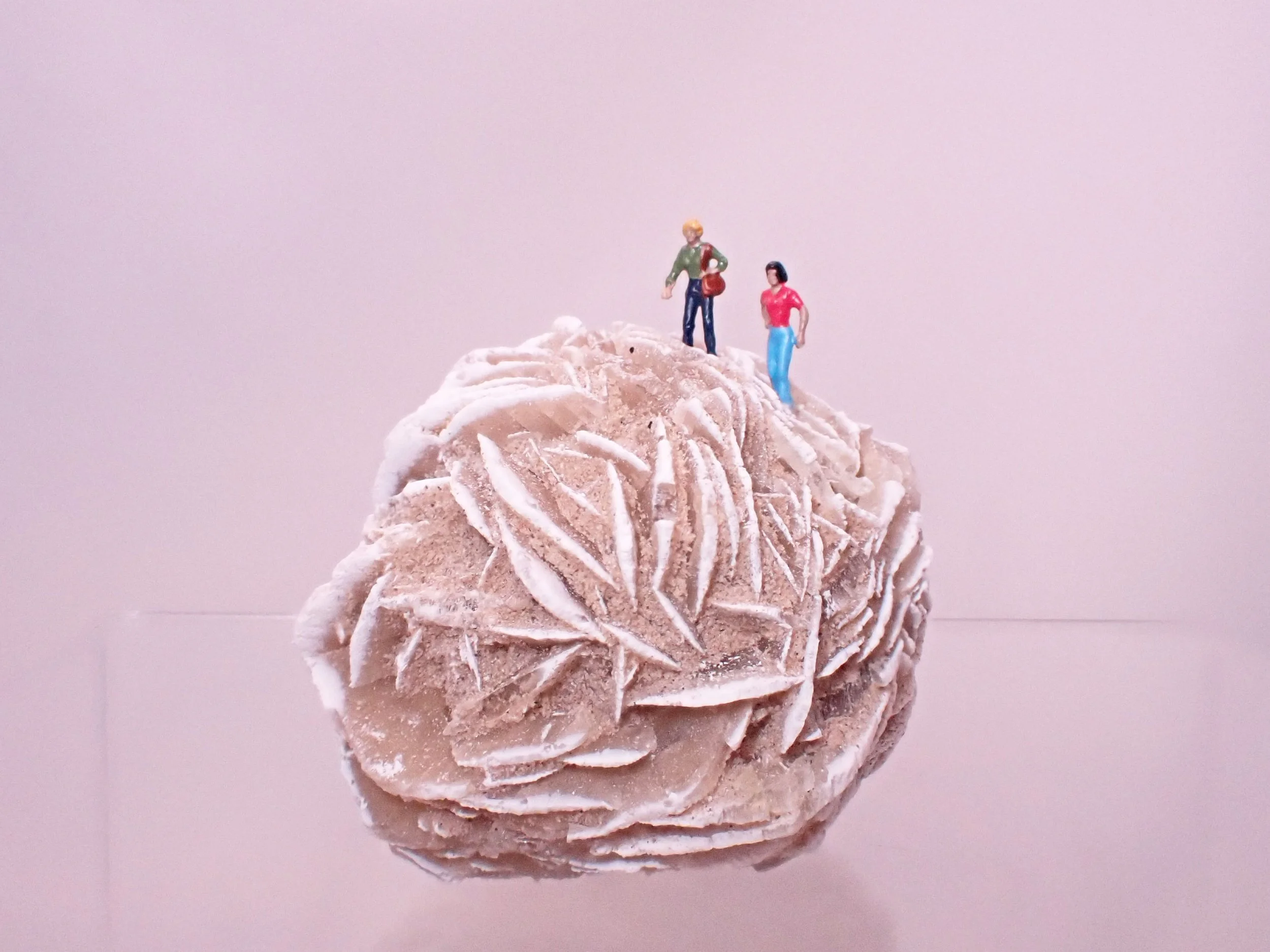 Desert-Rose-Diorama_8_Becky-Wareing-Steele_7_web.jpg