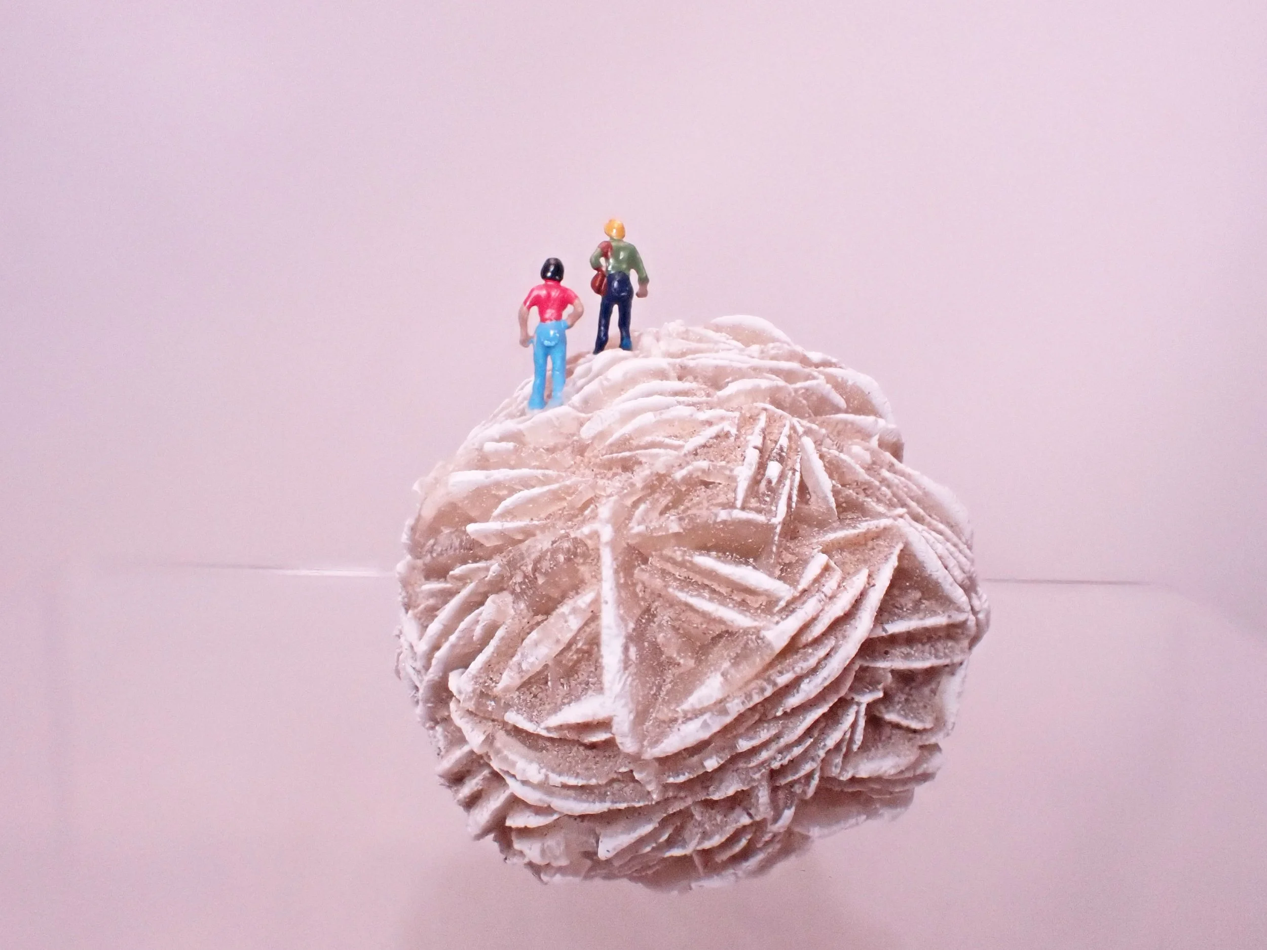 Desert-Rose-Diorama_8_Becky-Wareing-Steele_5_web.jpg