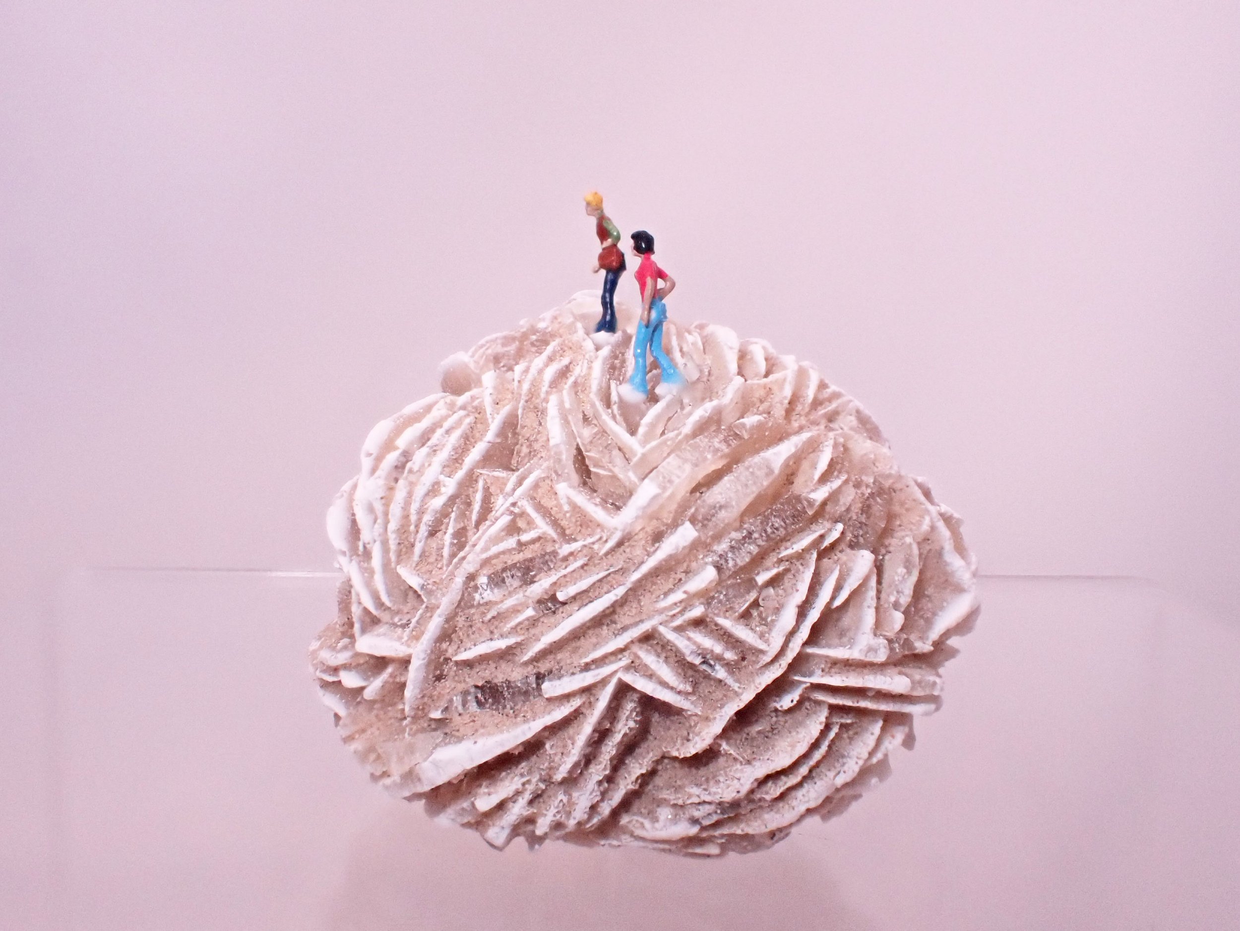 Desert-Rose-Diorama_8_Becky-Wareing-Steele_6_web.jpg