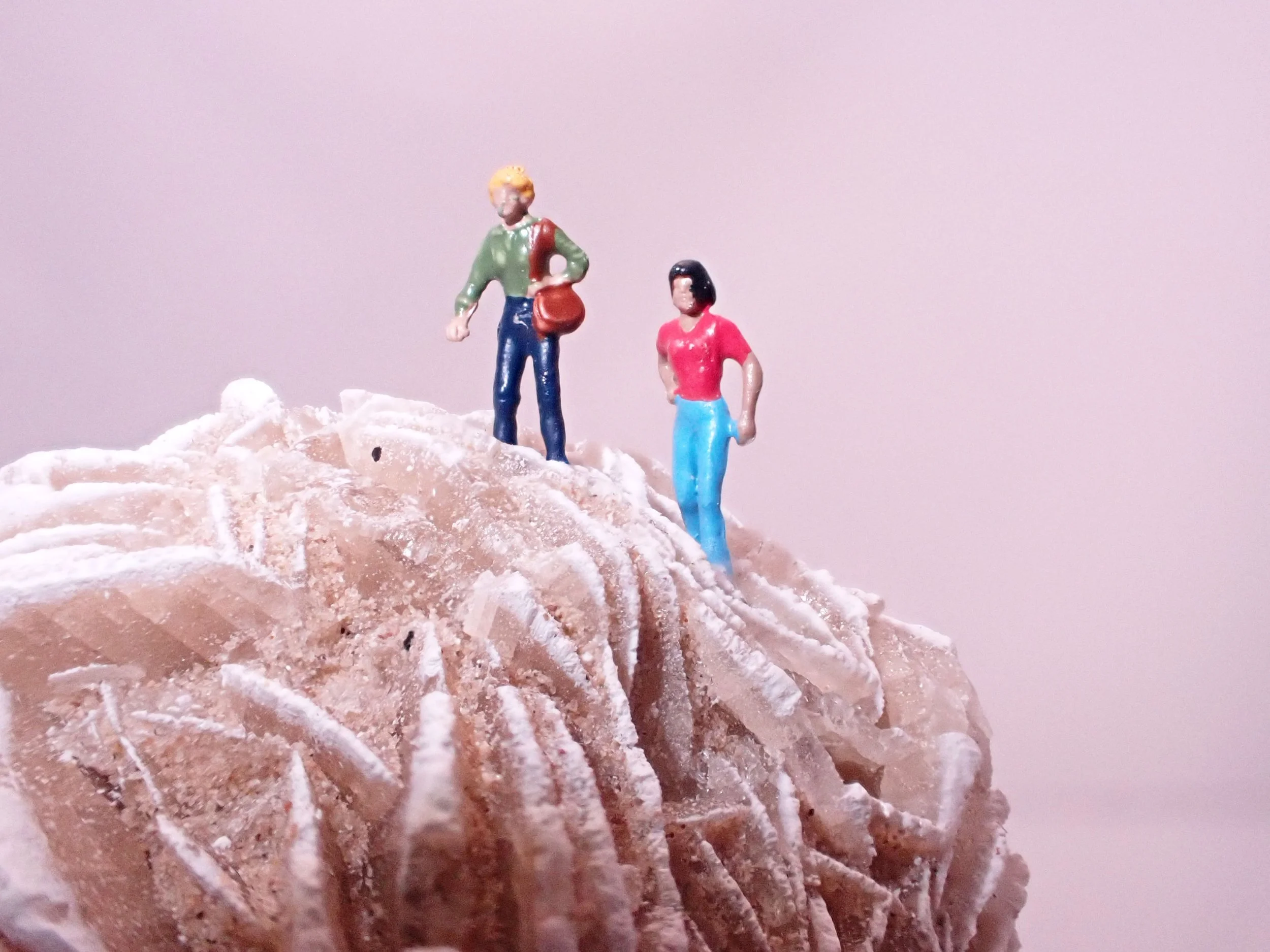 Desert-Rose-Diorama_8_Becky-Wareing-Steele_2_web.jpg