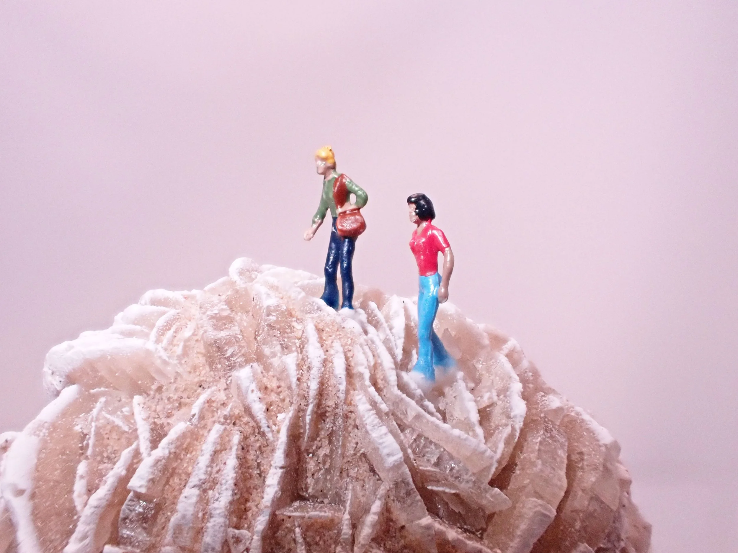 Desert-Rose-Diorama_8_Becky-Wareing-Steele_1_web.jpg