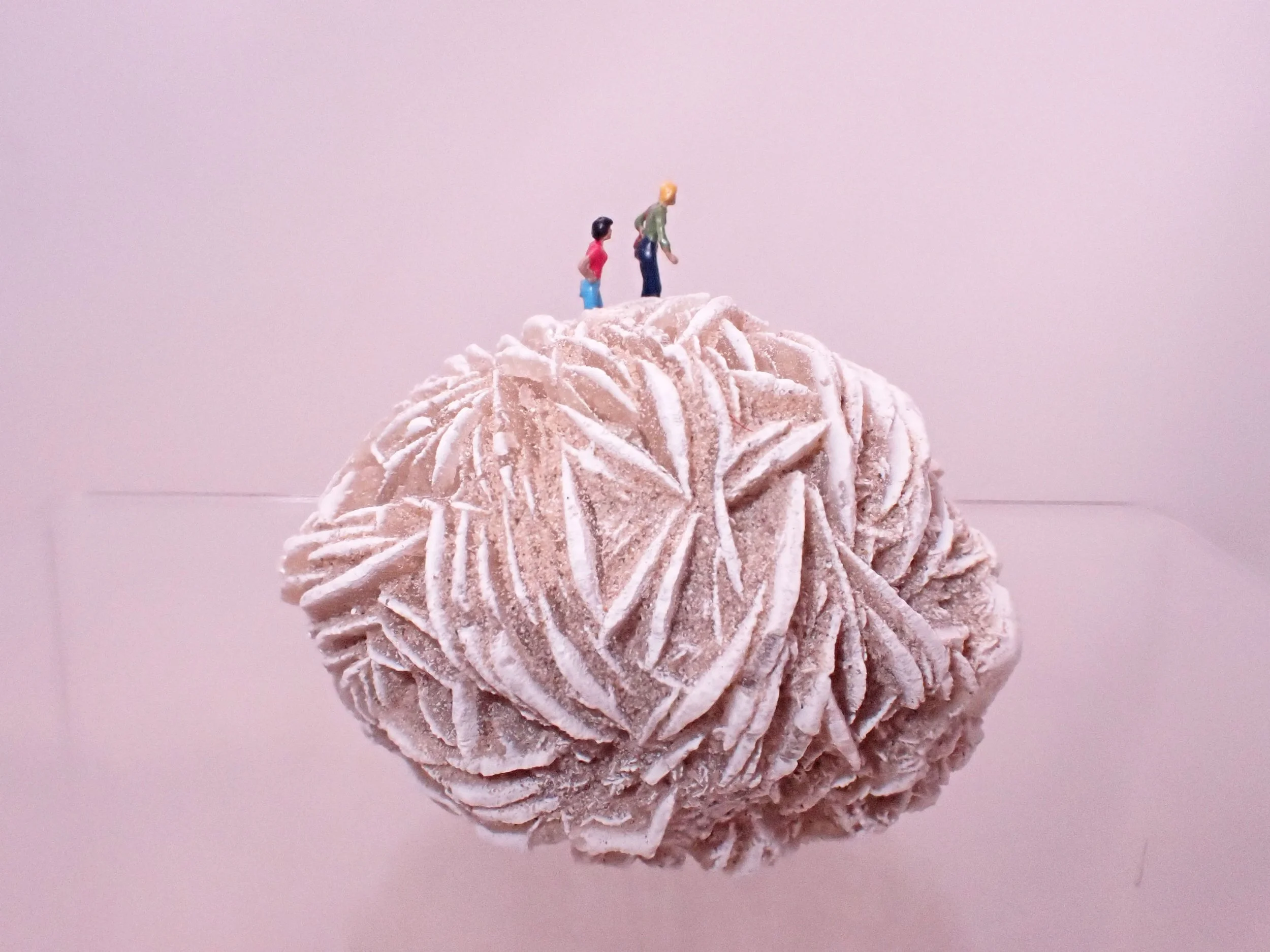 Desert-Rose-Diorama_8_Becky-Wareing-Steele_4_web.jpg