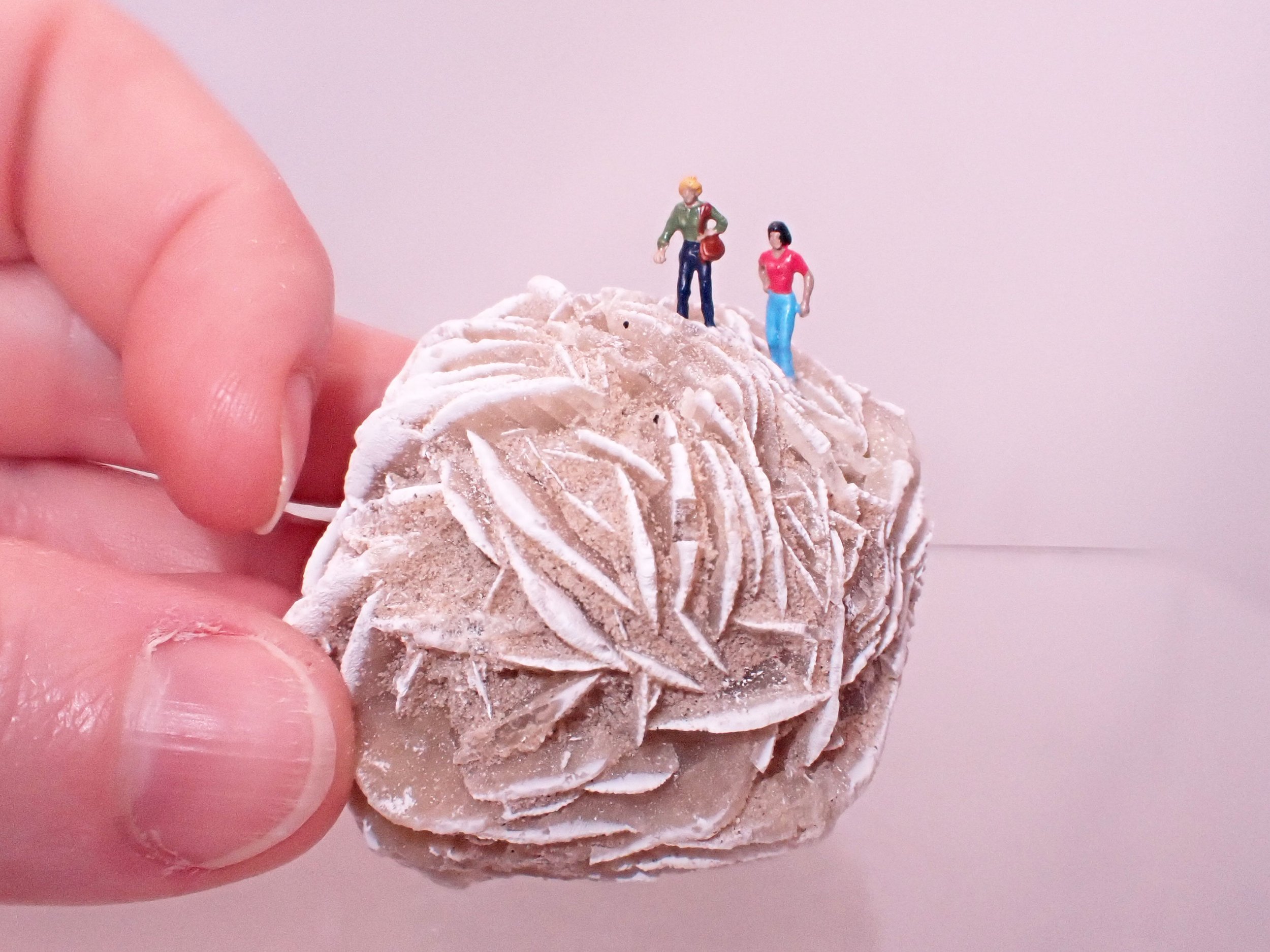 Desert-Rose-Diorama_8_Becky-Wareing-Steele_3_web.jpg