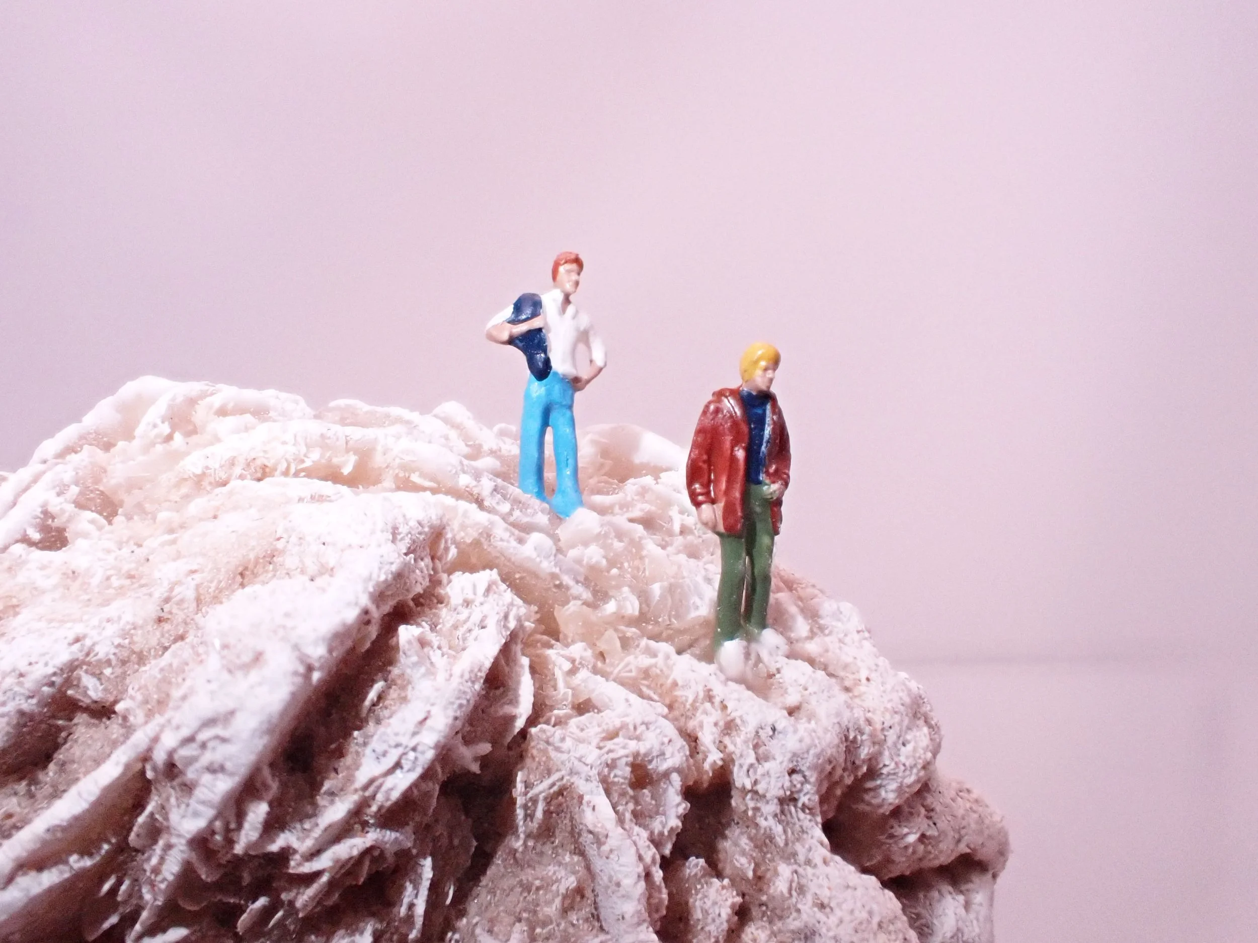 Desert-Rose-Diorama_9_Becky-Wareing-Steele_1_web.jpg