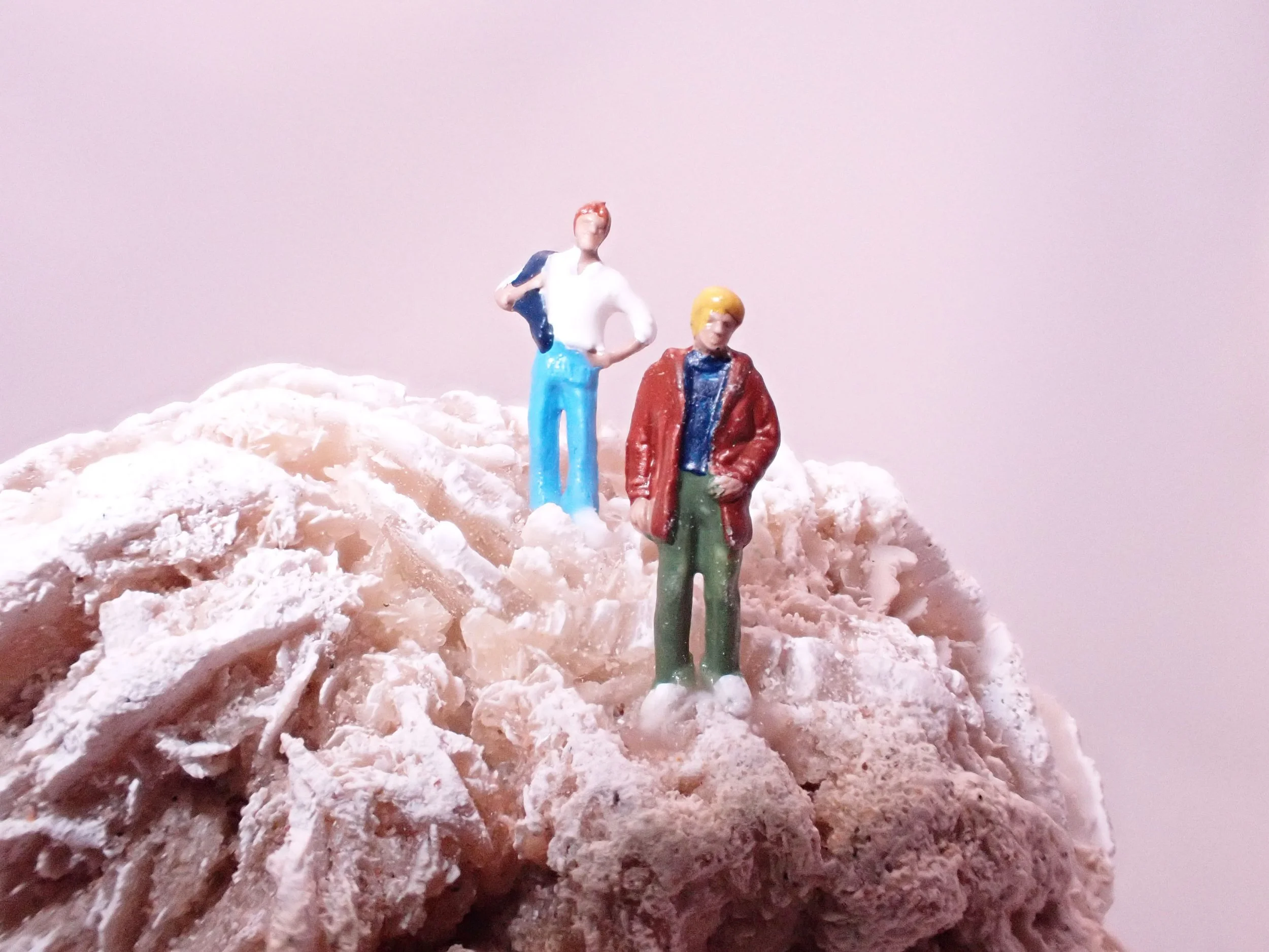 Desert-Rose-Diorama_9_Becky-Wareing-Steele_2_web.jpg