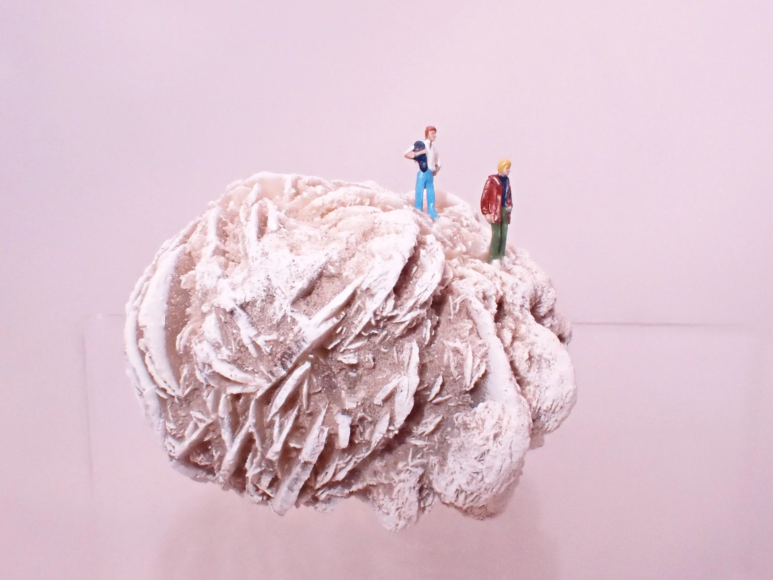 Desert-Rose-Diorama_9_Becky-Wareing-Steele_7_web.jpg