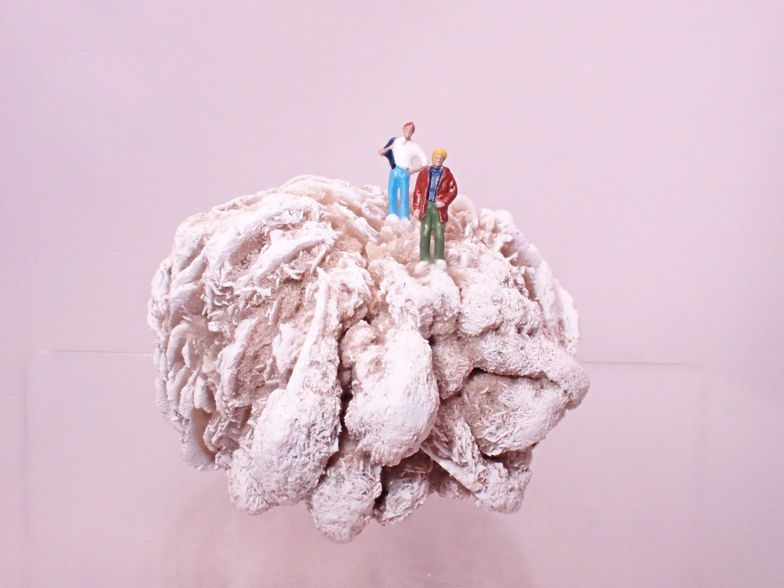 Desert-Rose-Diorama_9_Becky-Wareing-Steele_8_web.jpg