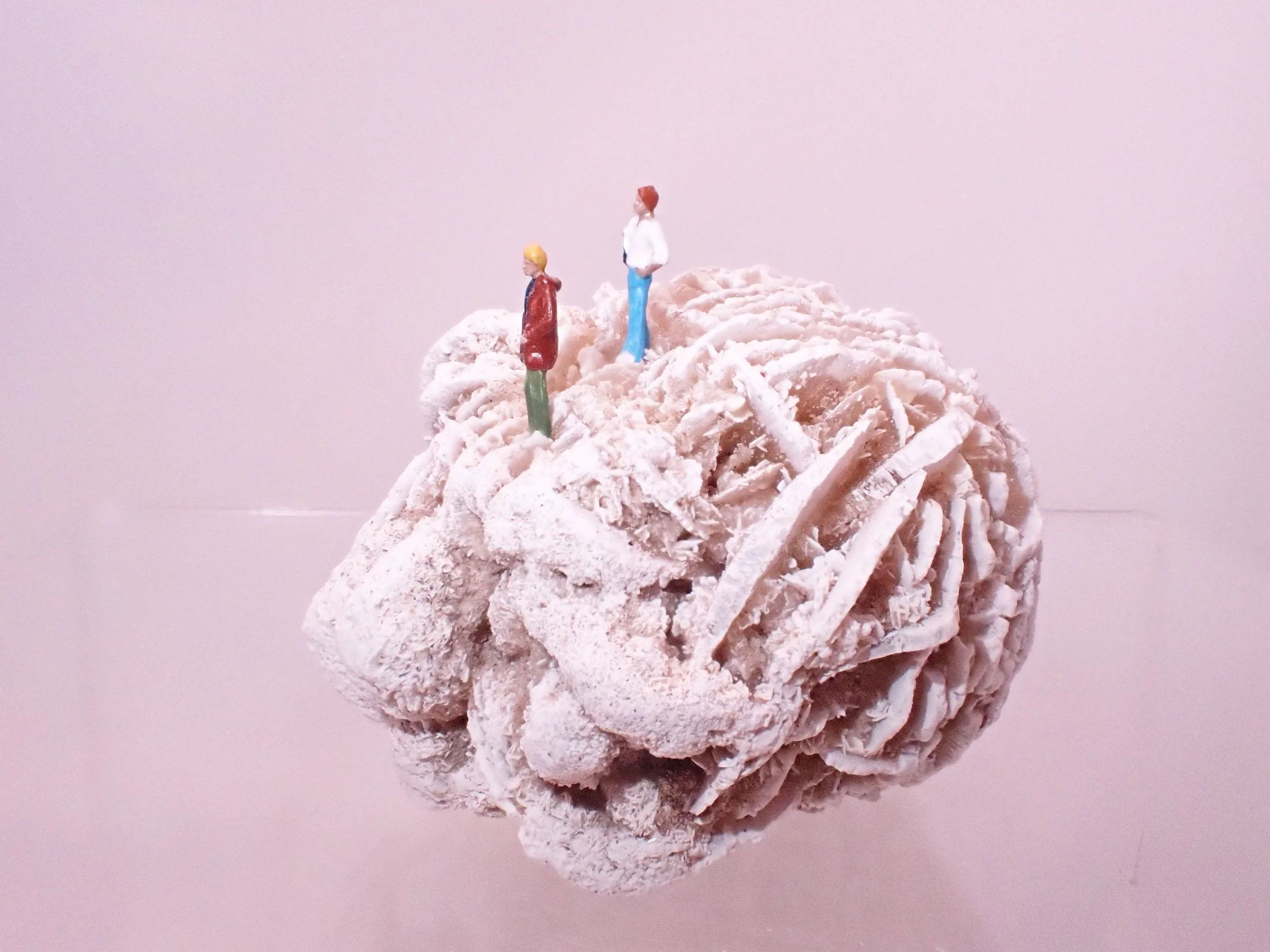 Desert-Rose-Diorama_9_Becky-Wareing-Steele_4_web.jpg