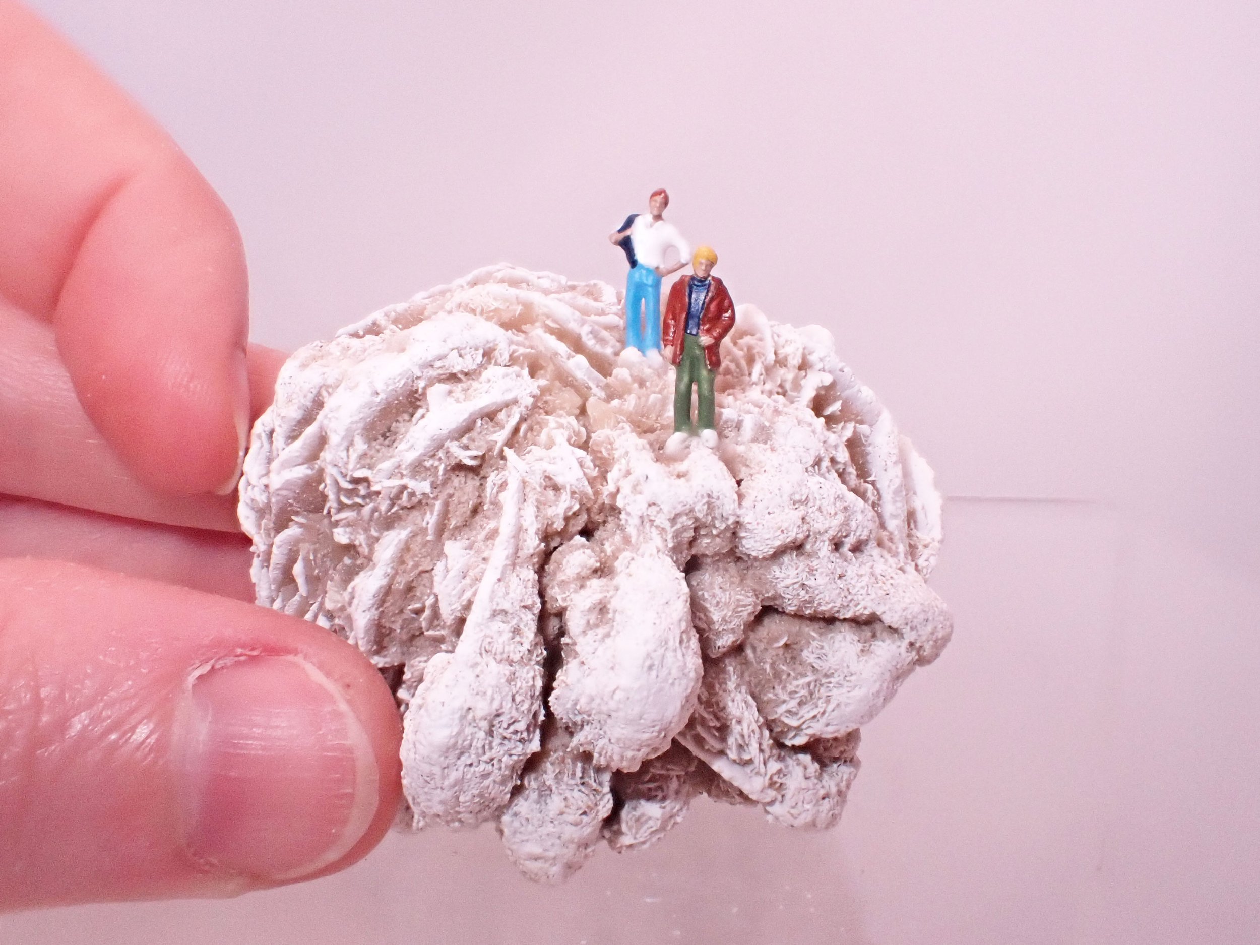 Desert-Rose-Diorama_9_Becky-Wareing-Steele_3_web.jpg