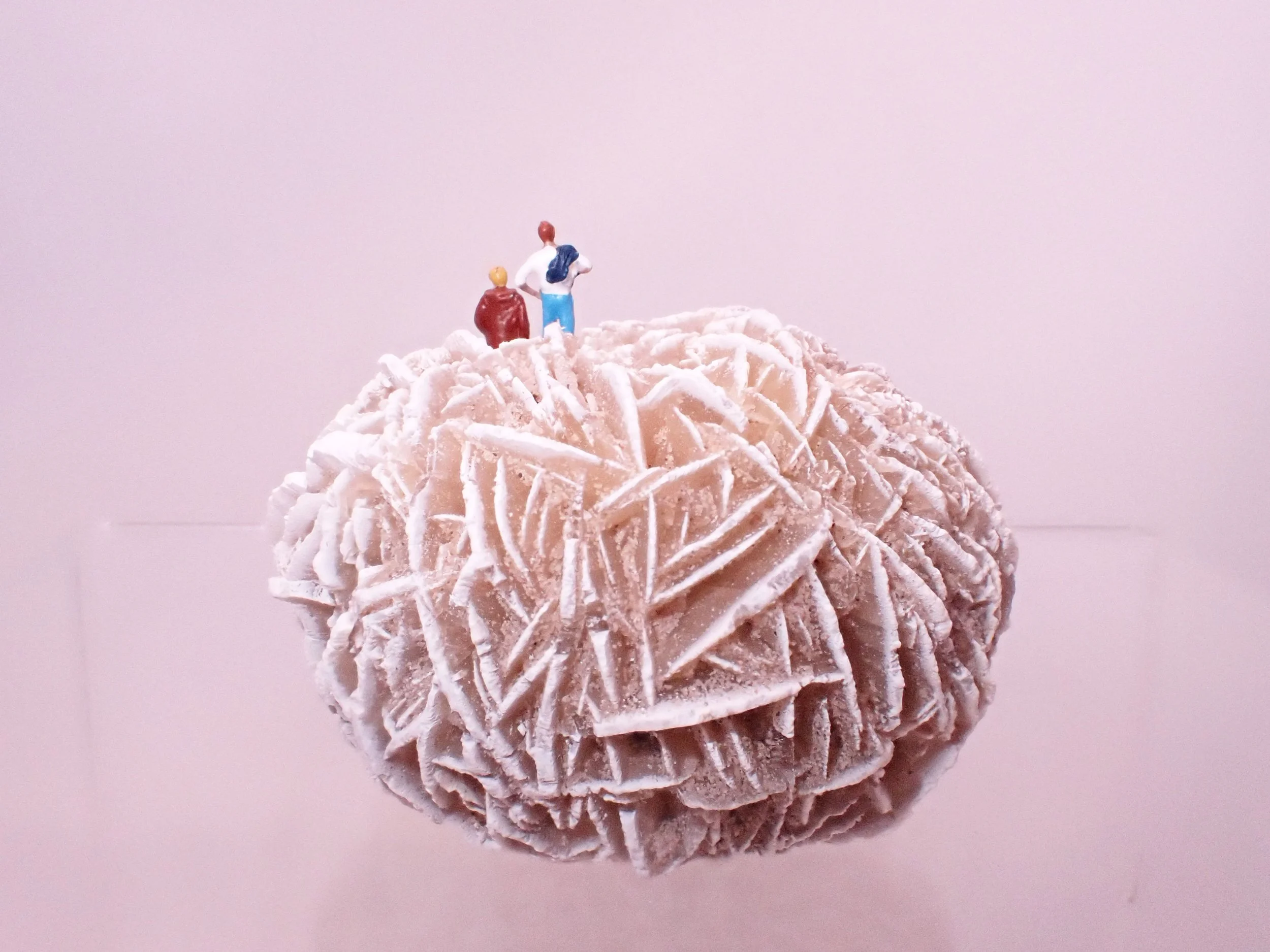 Desert-Rose-Diorama_9_Becky-Wareing-Steele_6_web.jpg