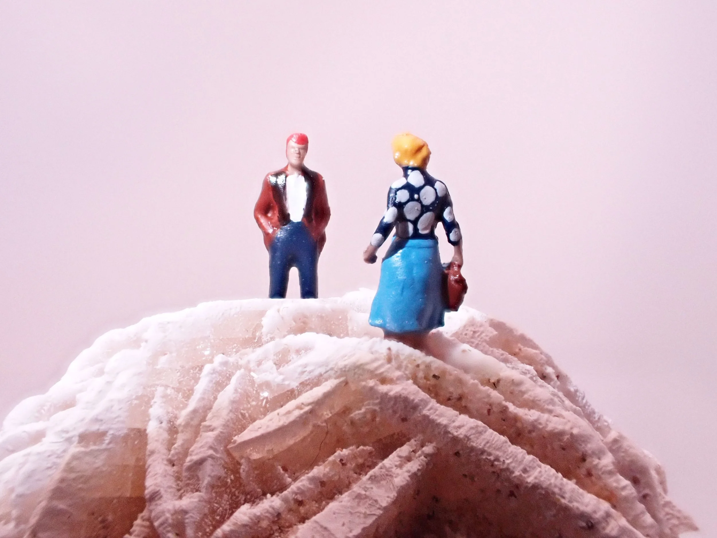 Desert-Rose-Diorama_10_Becky-Wareing-Steele_2_web.jpg