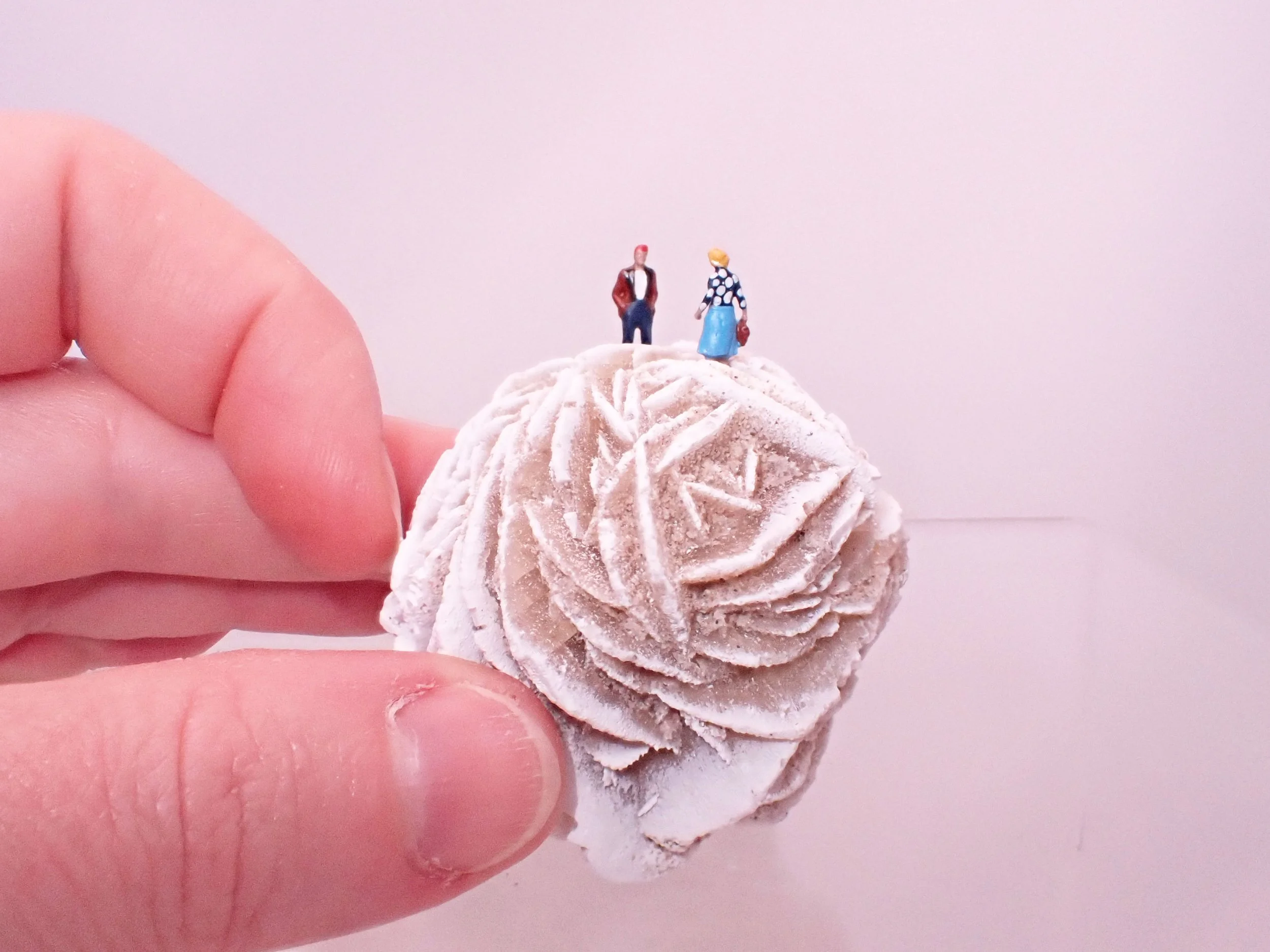 Desert-Rose-Diorama_10_Becky-Wareing-Steele_3_web.jpg