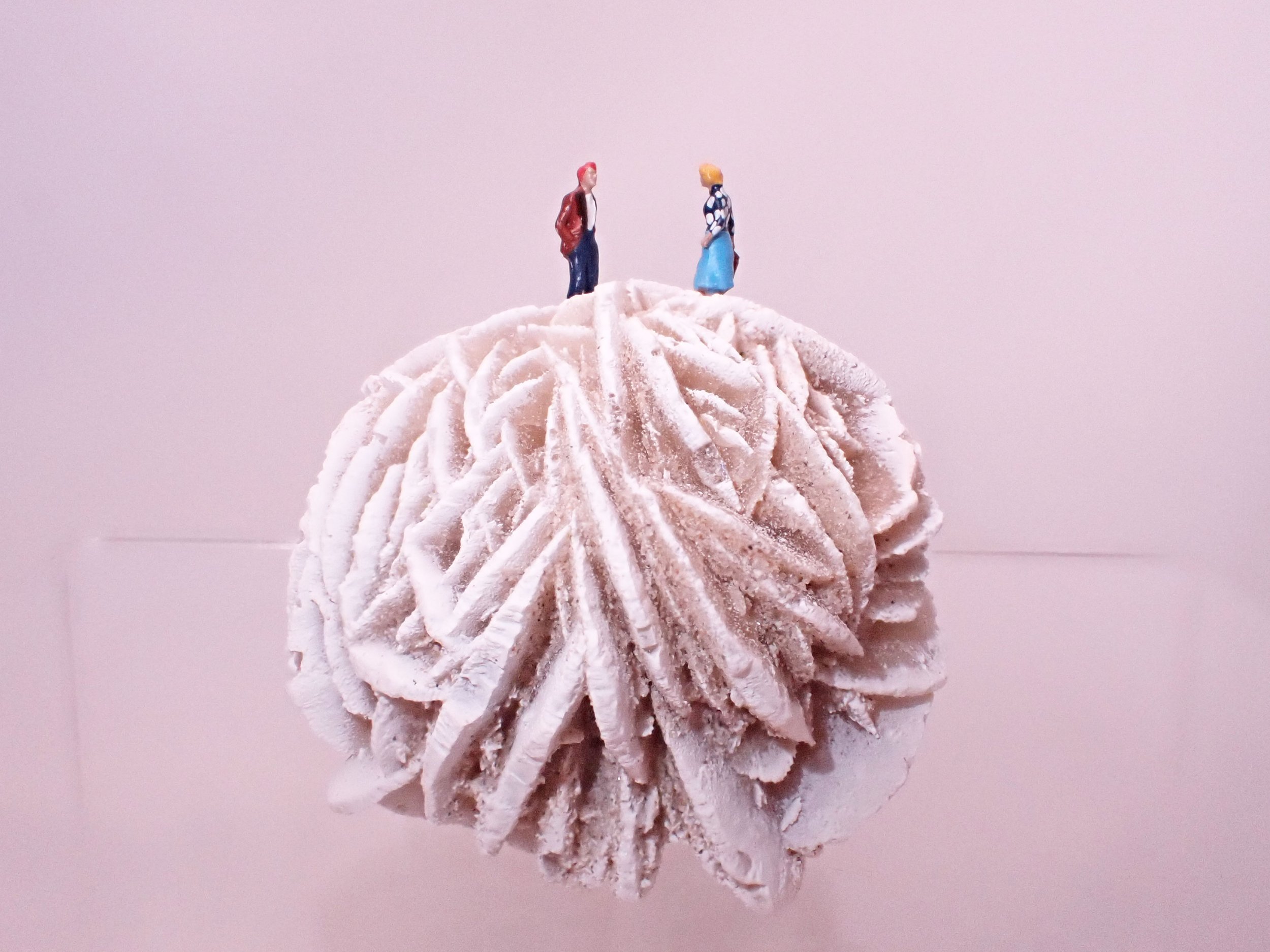 Desert-Rose-Diorama_10_Becky-Wareing-Steele_6_web.jpg