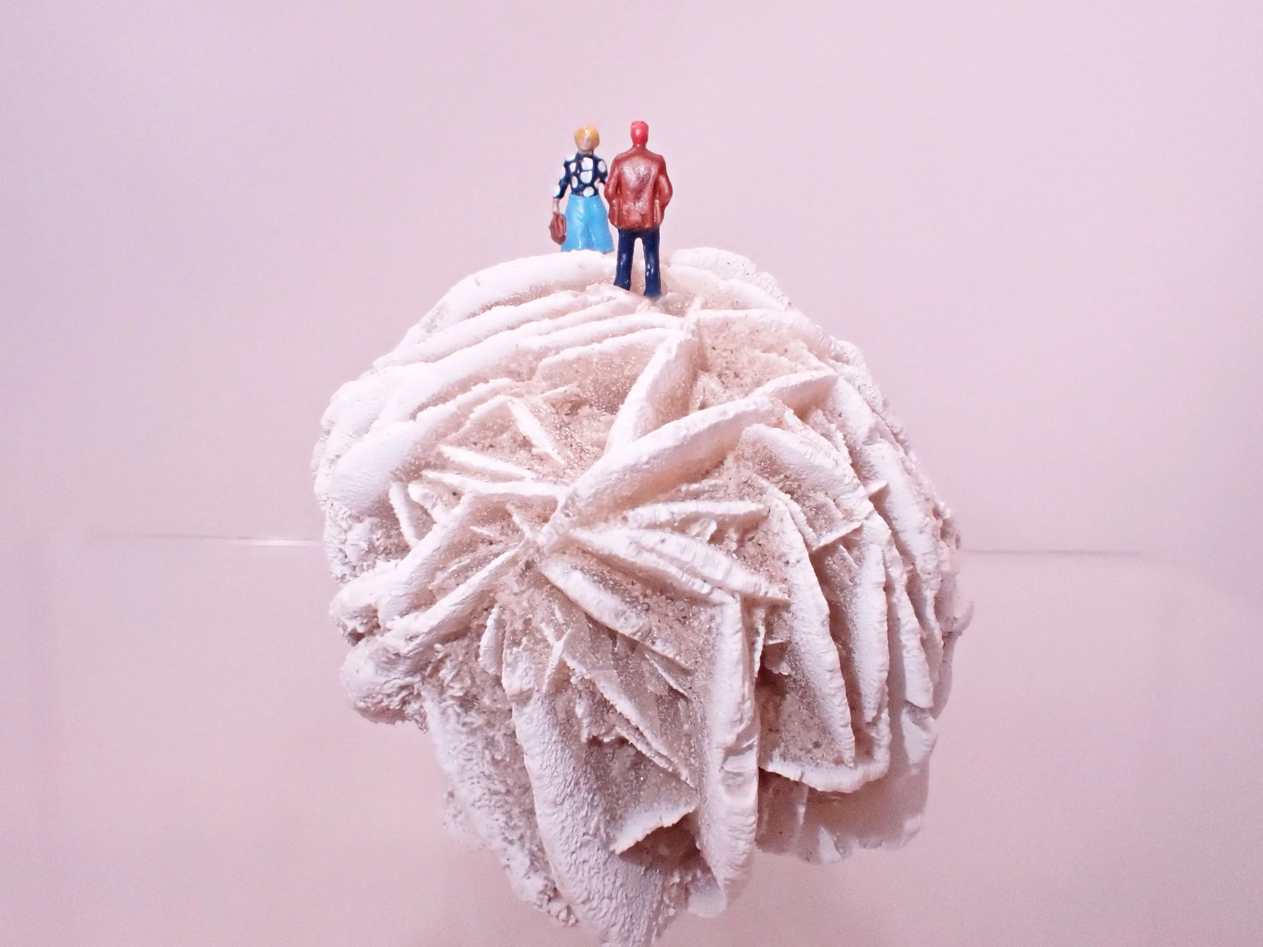 Desert-Rose-Diorama_10_Becky-Wareing-Steele_5_web.jpg