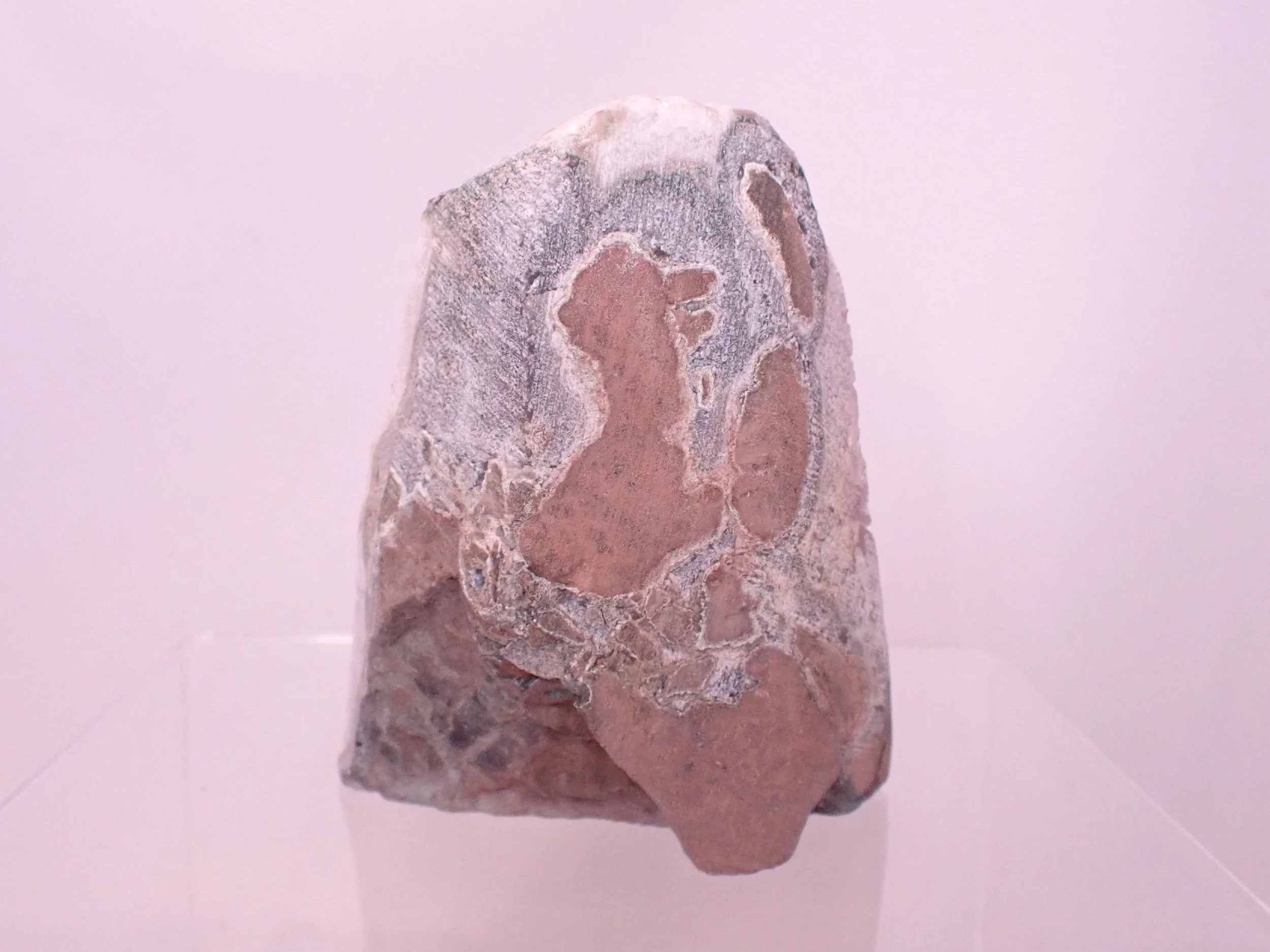 Large-Amethyst-Diorama_3_Becky-Wareing-Steele_7_web.jpg