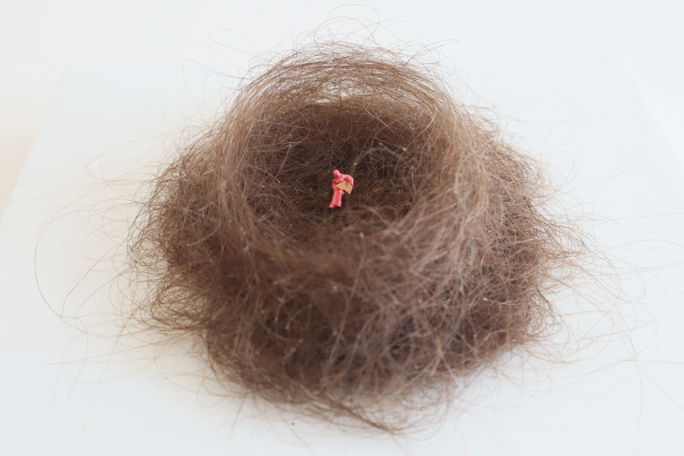 Untitled eggshell with human hair.png