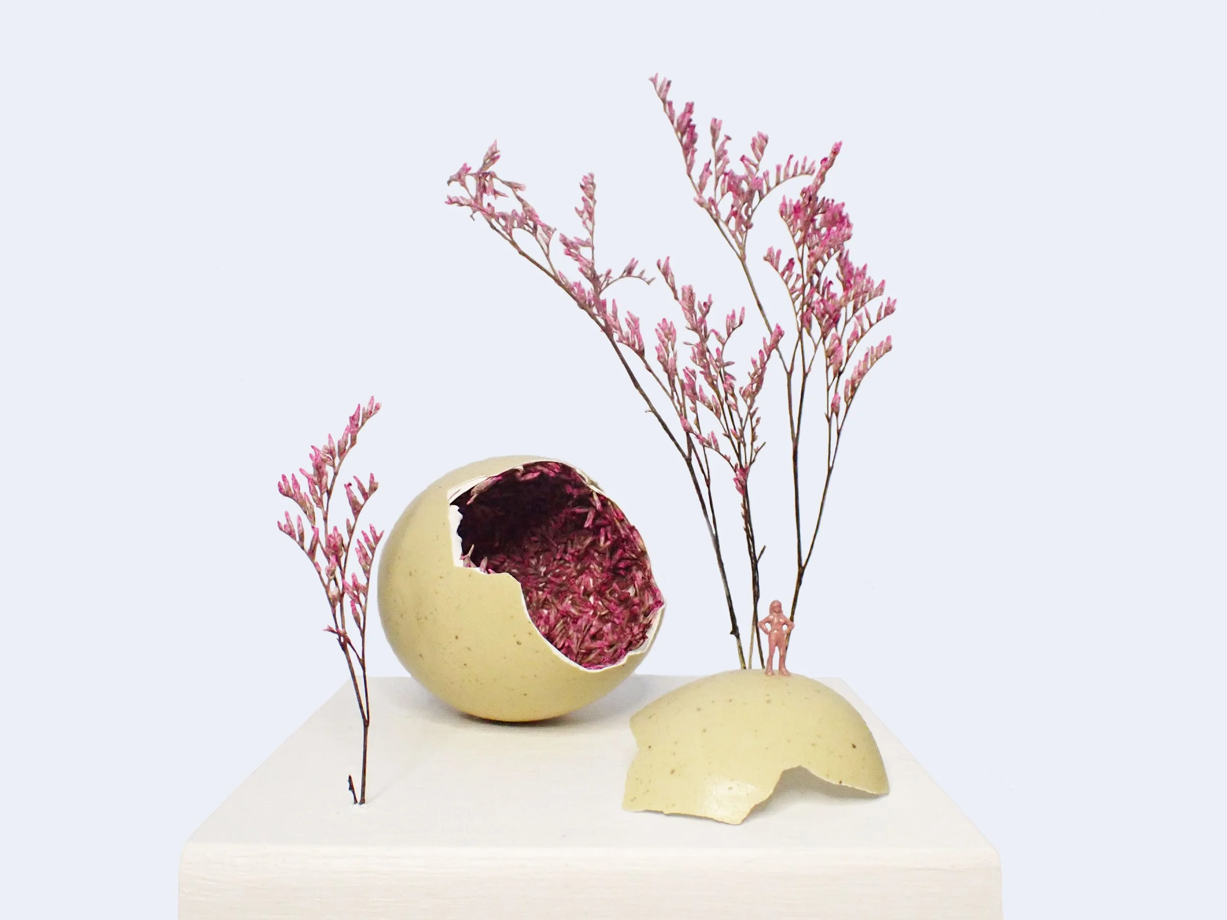 Untitled (Nature)_Becky Wareing Steele_07.22.22.jpg